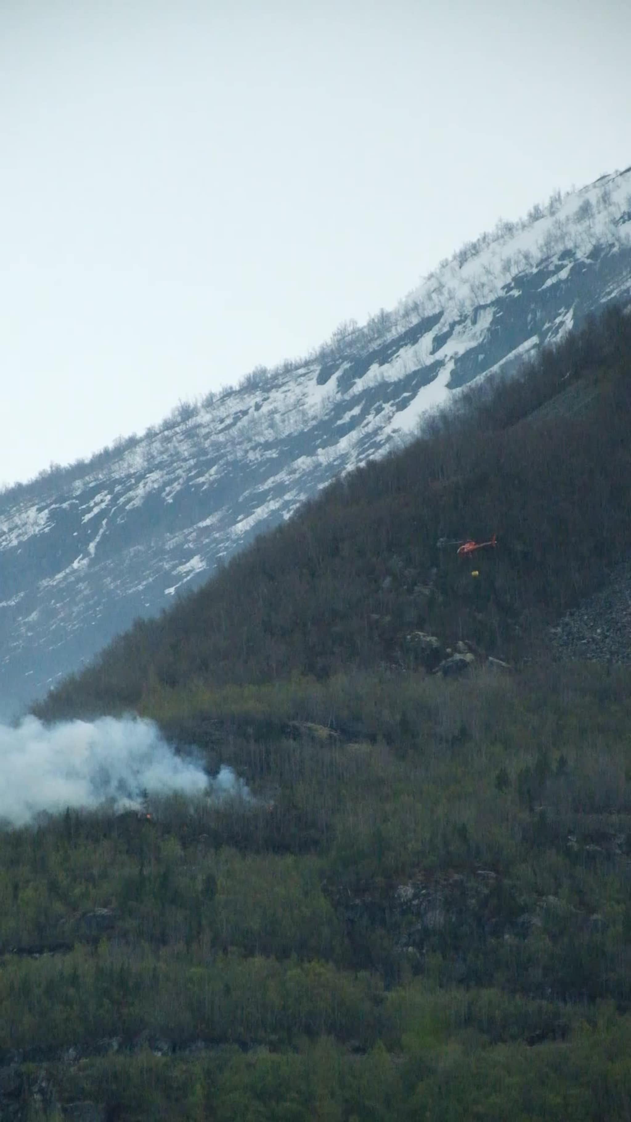 Brann i Årdal