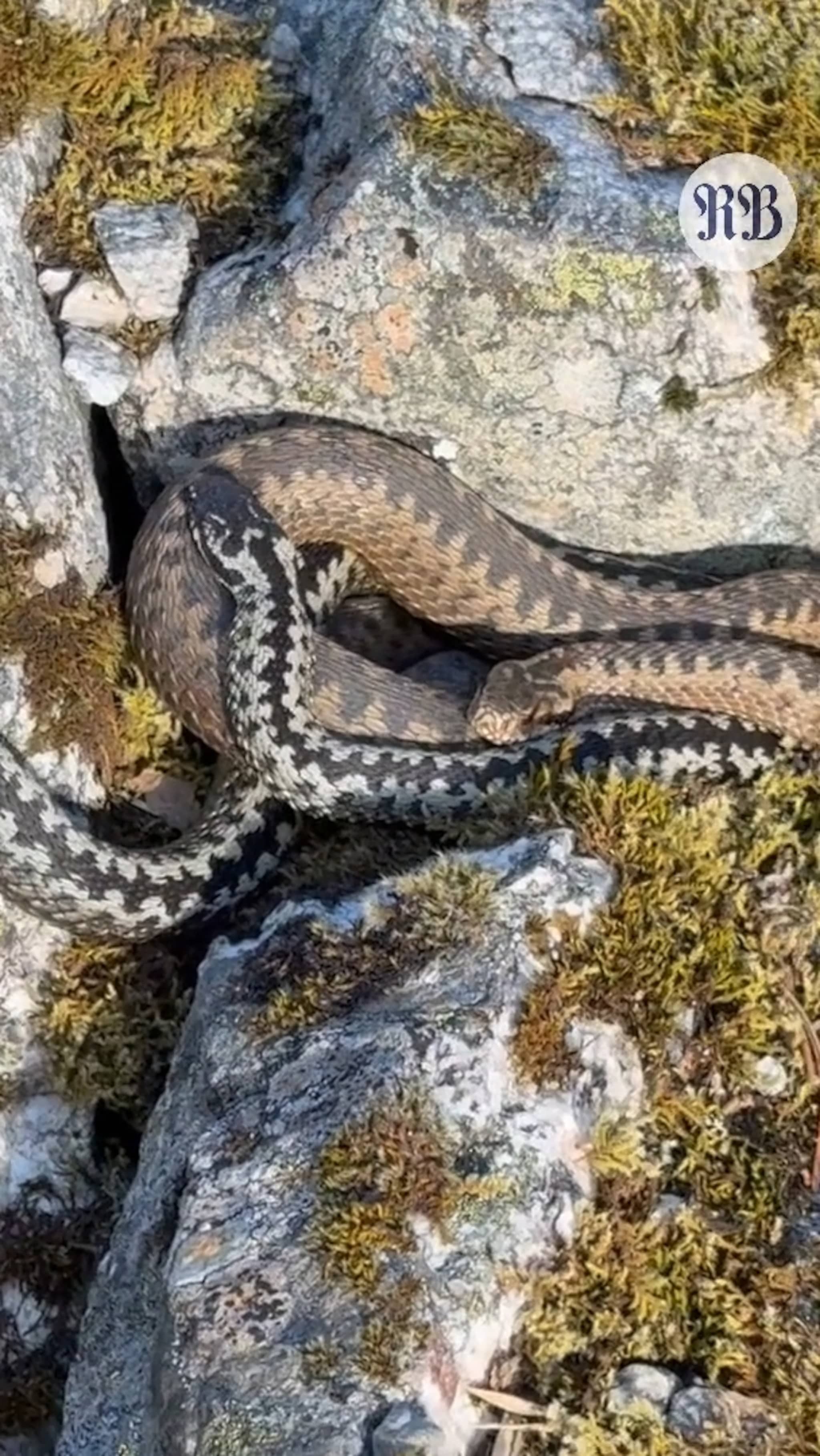 Eirik Heen med et enormt møte