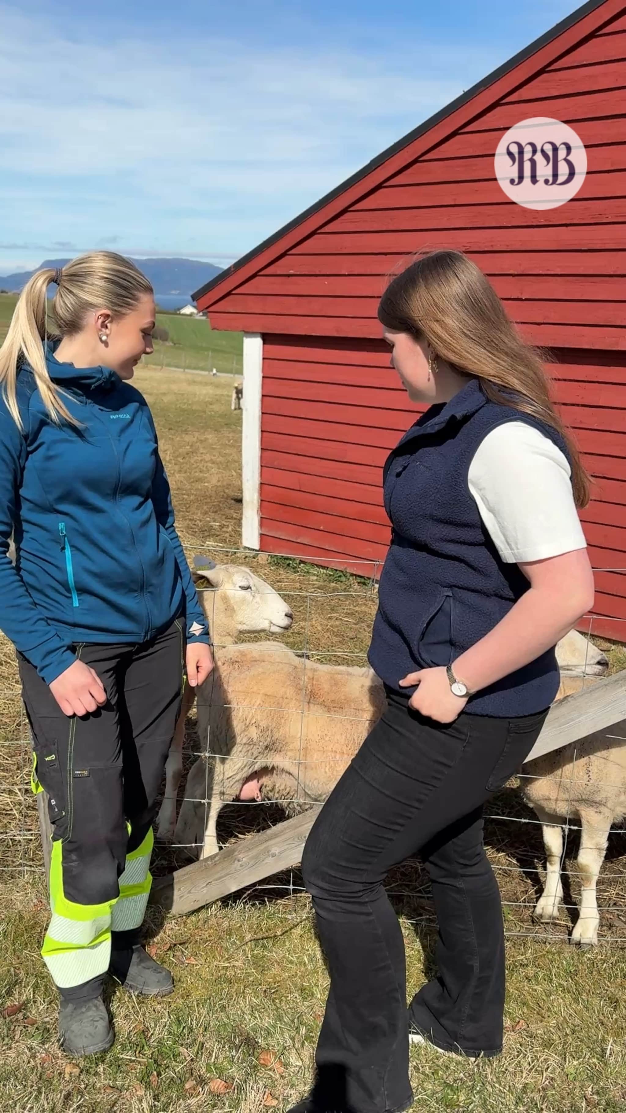 Helsesykepleier to ganger i måneden
