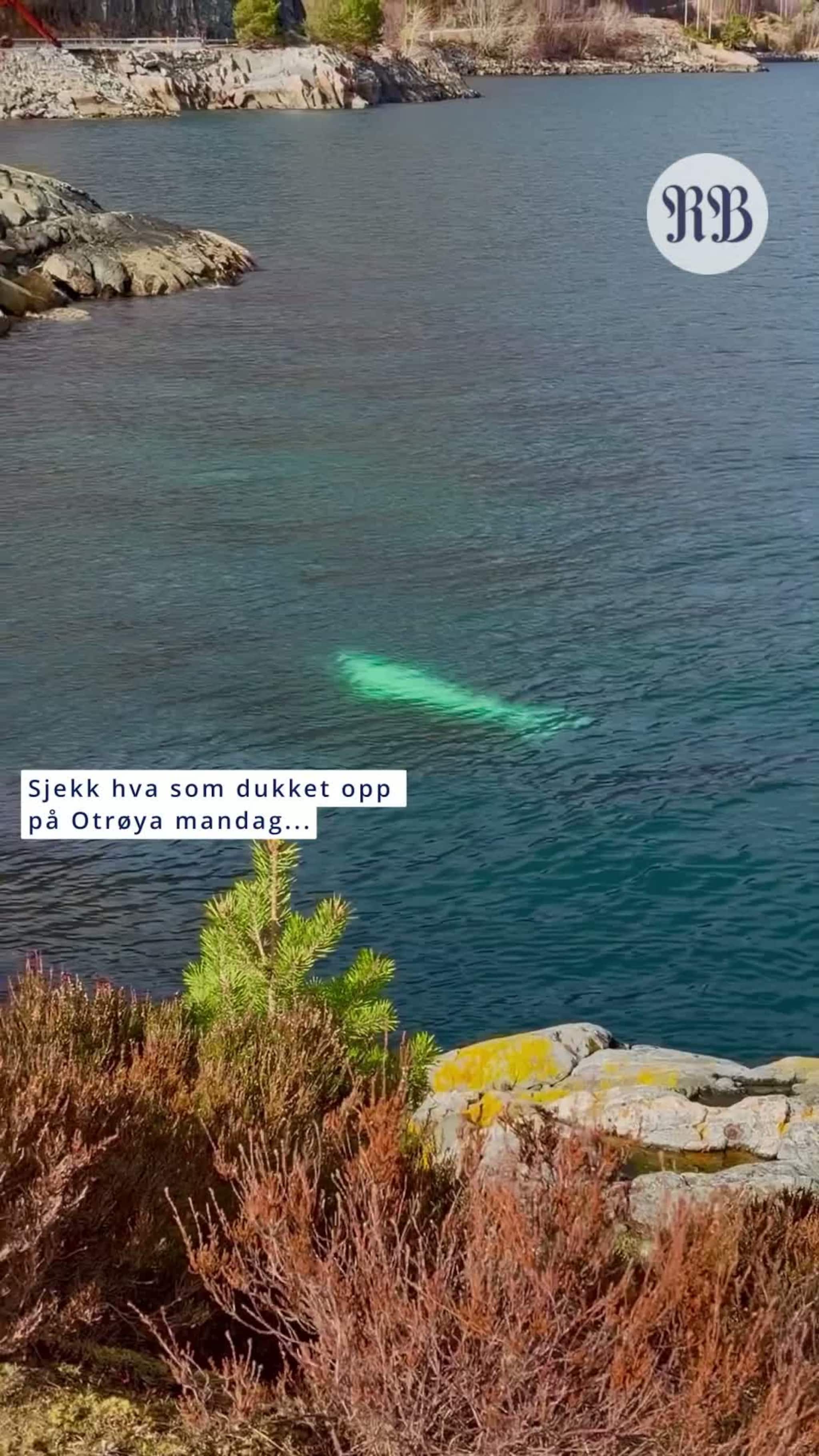 Et spektakulært syn utenfor Otrøya.