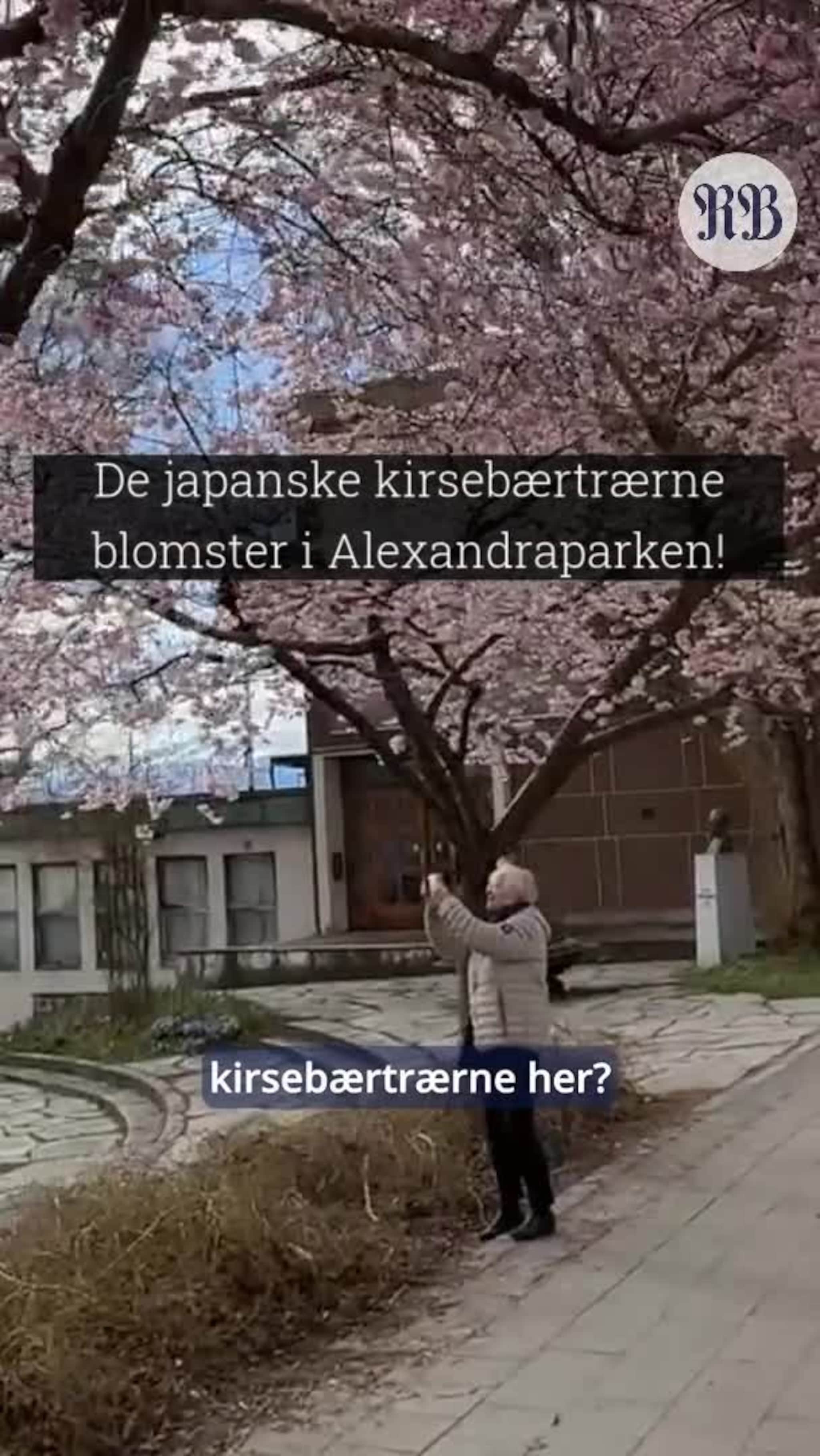 -Helt fantastisk blomstring!