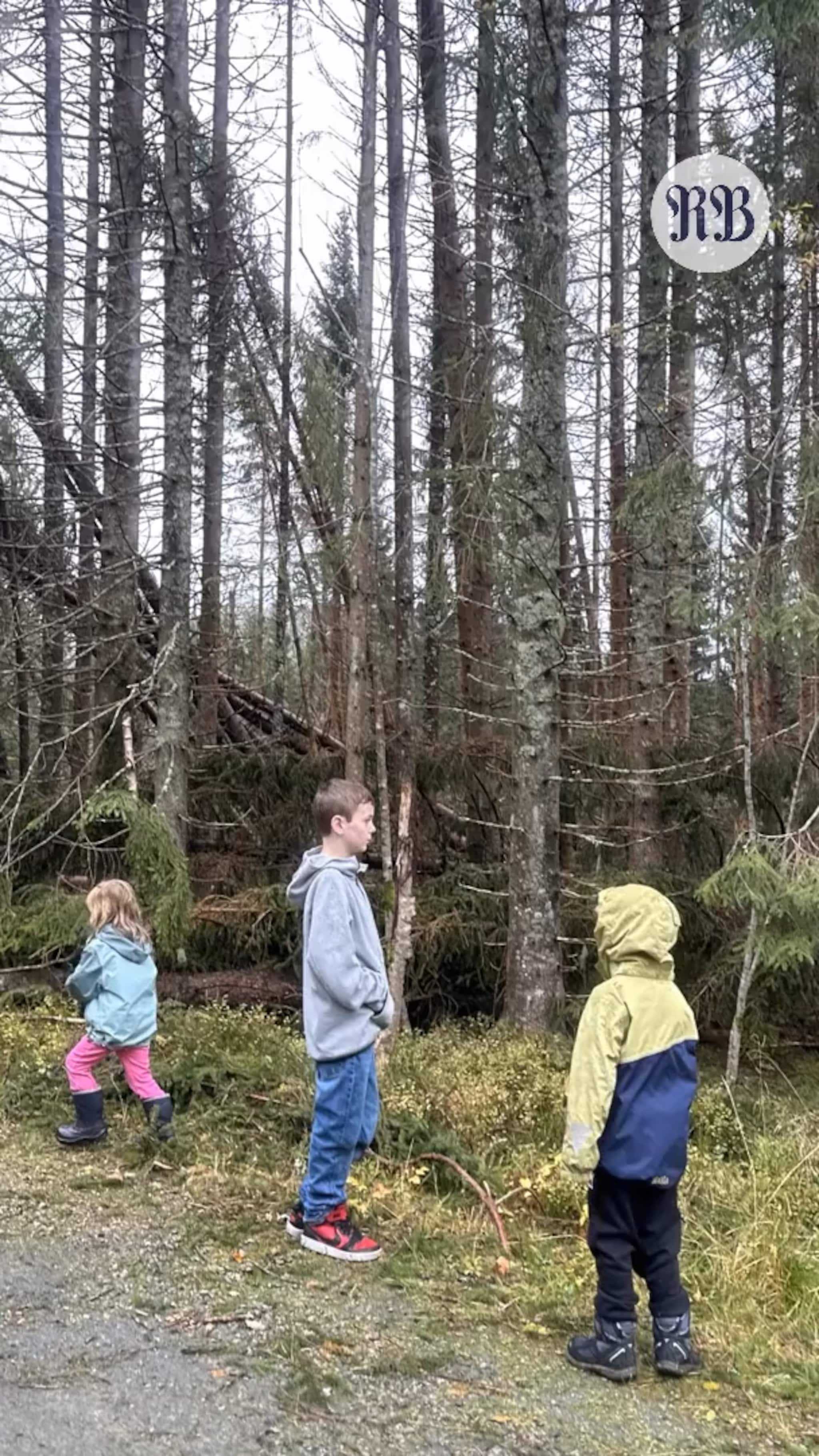 Store ødeleggelser etter Amy