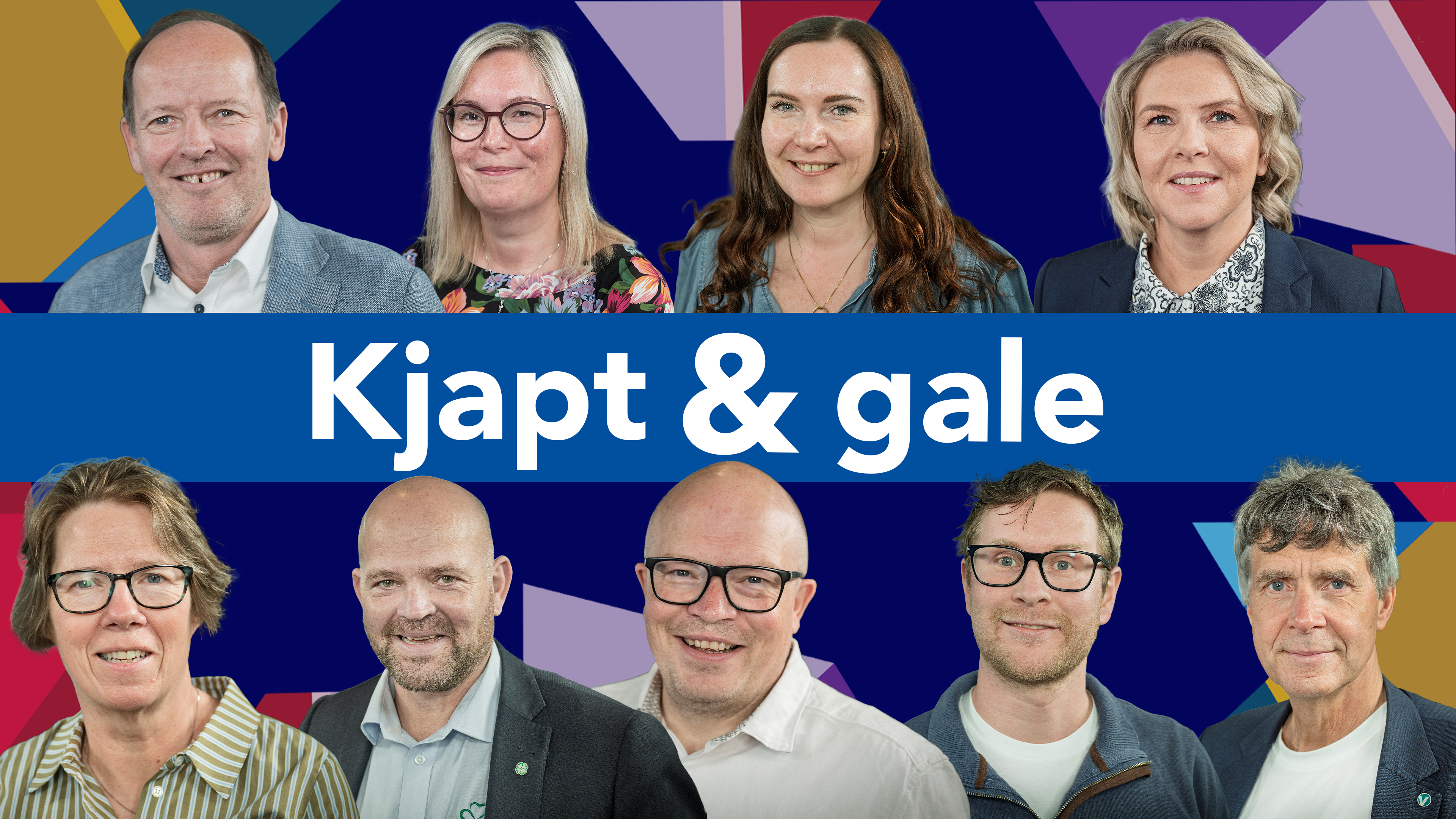 Image for Kjapt & gale