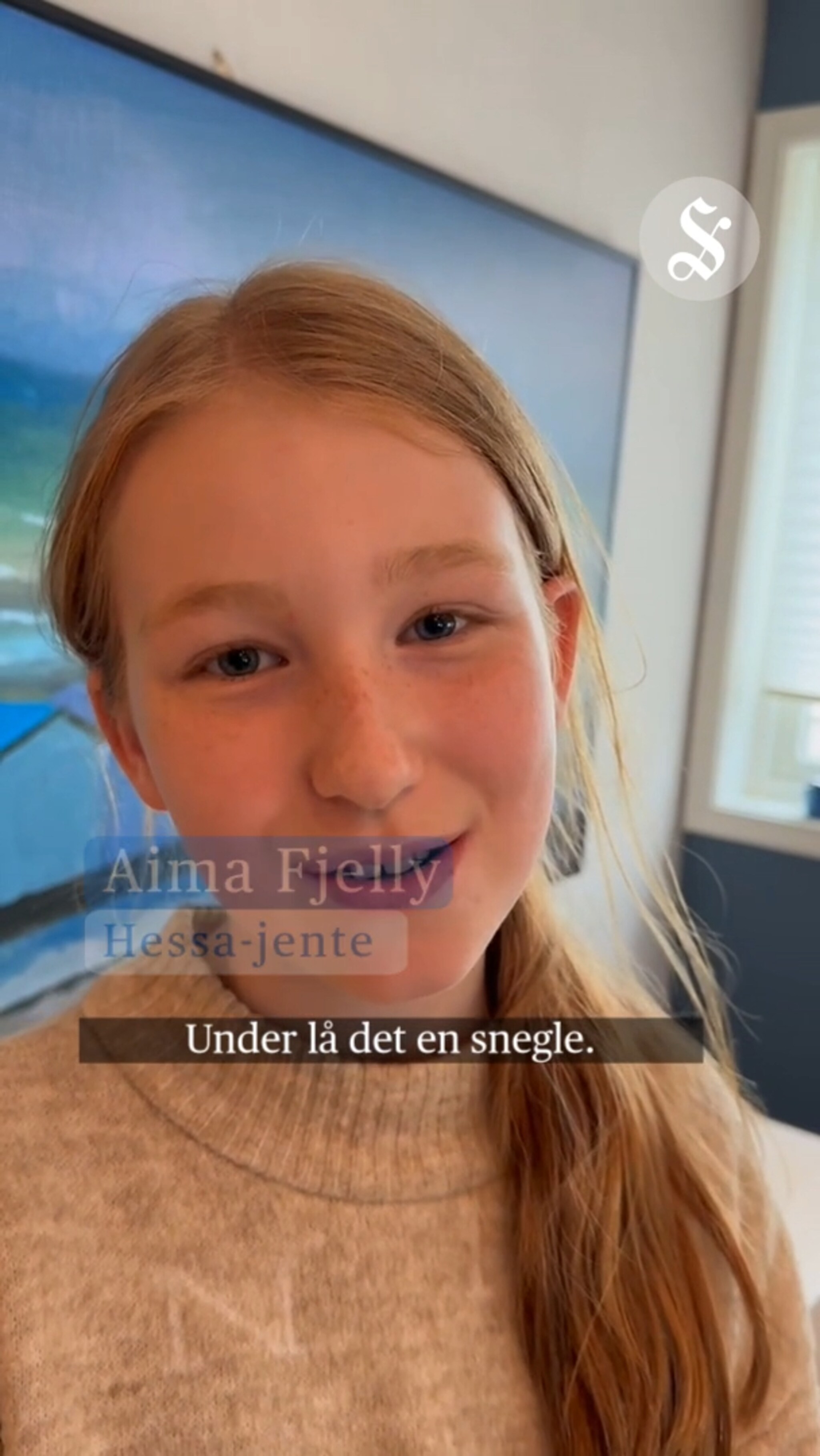Fant snegle i hamburgeren