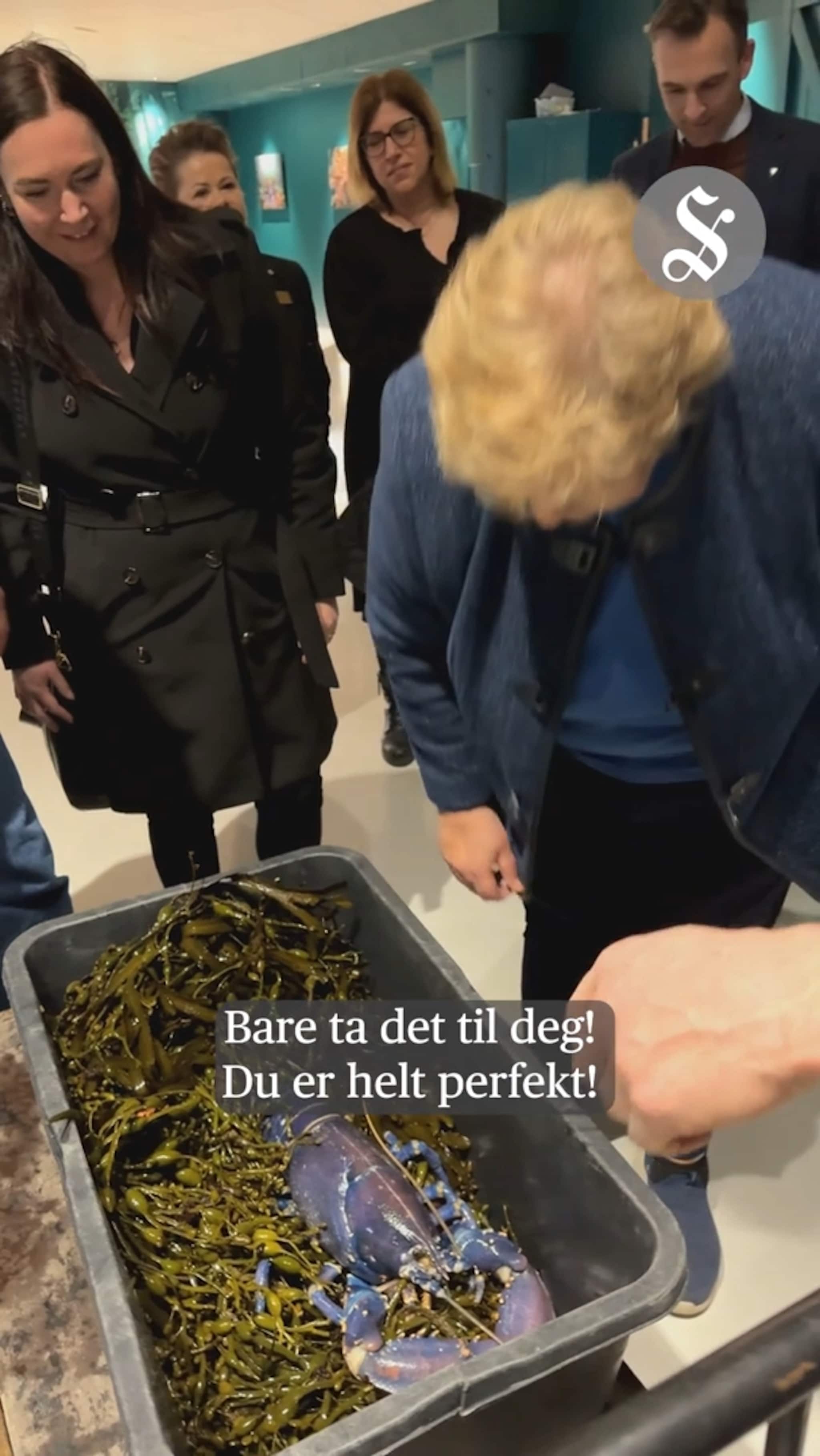 Erna møter «Erna»