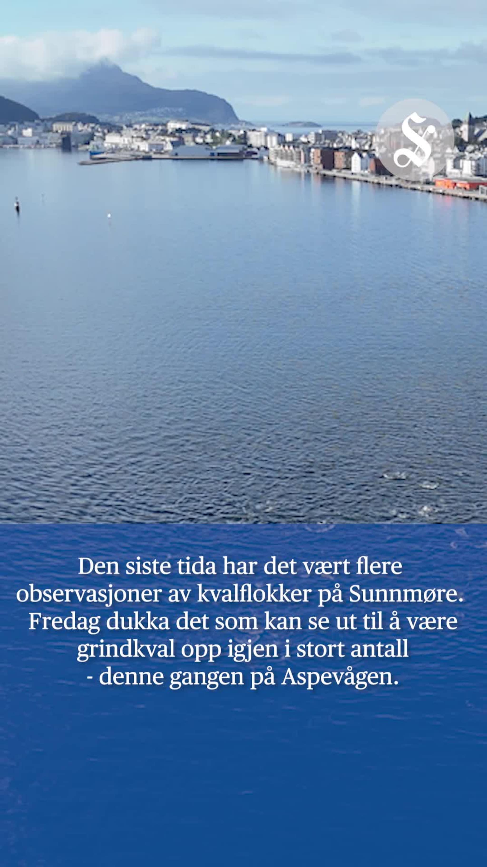 Her koker det på Aspevågen