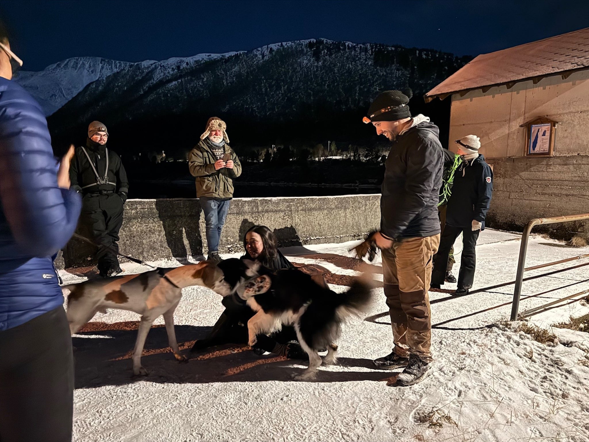Hund gjenforeina med eigarane etter stor leiteaksjon
