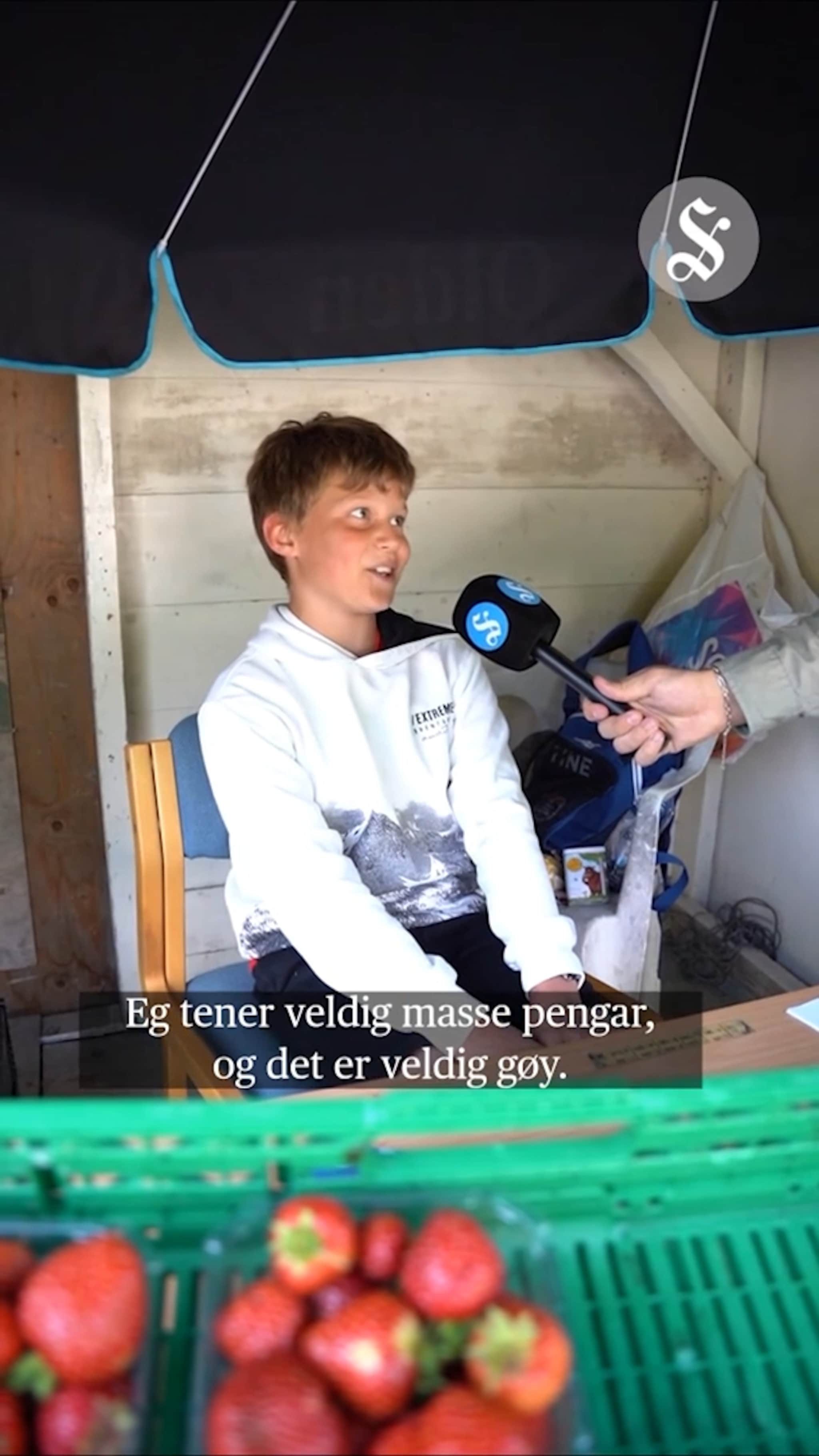 Status på Valldalbæra