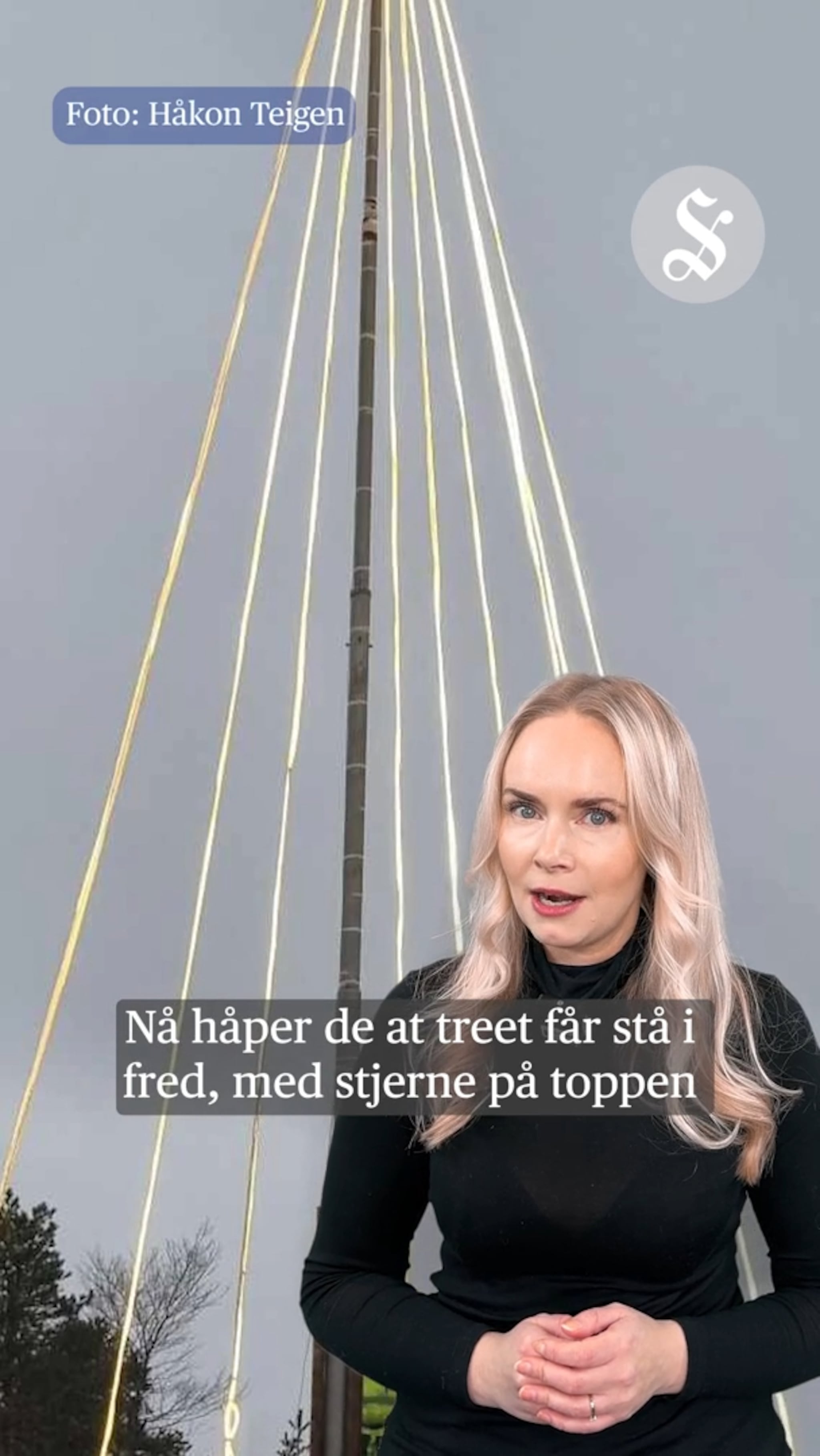 Hærverk på juletreet til Spjelkavikas venner