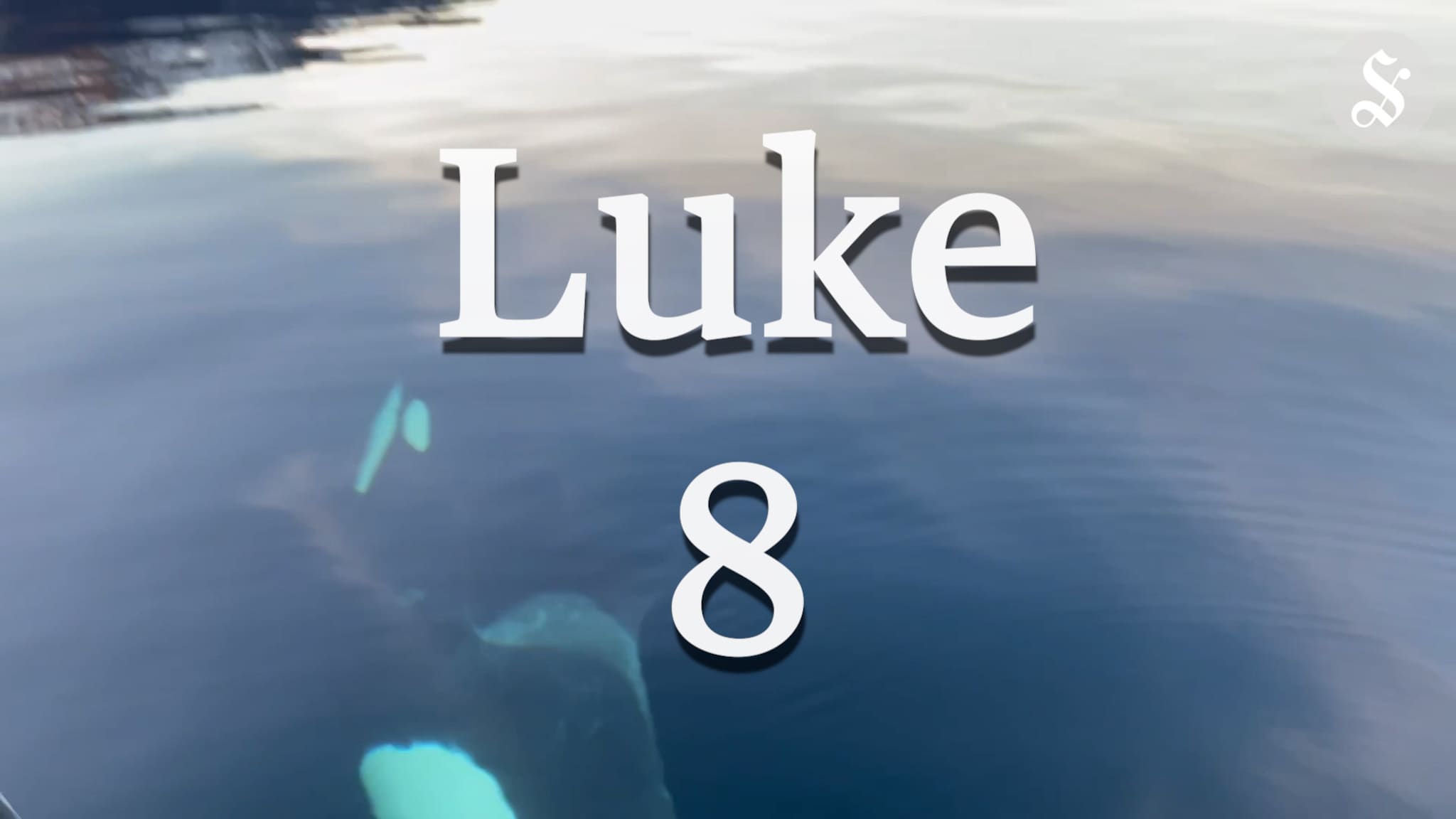 Julekalender Luke 8
