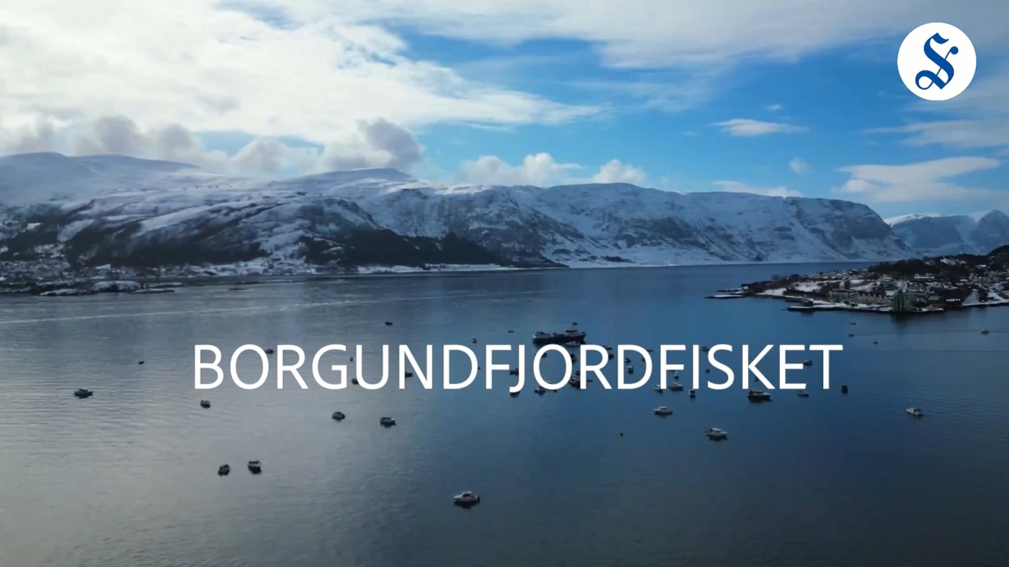 Borgundfjordfisket 2024