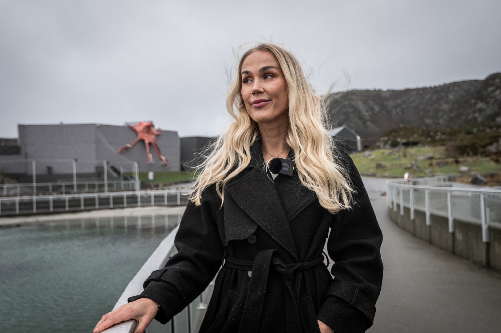 Alt takket være TikTok