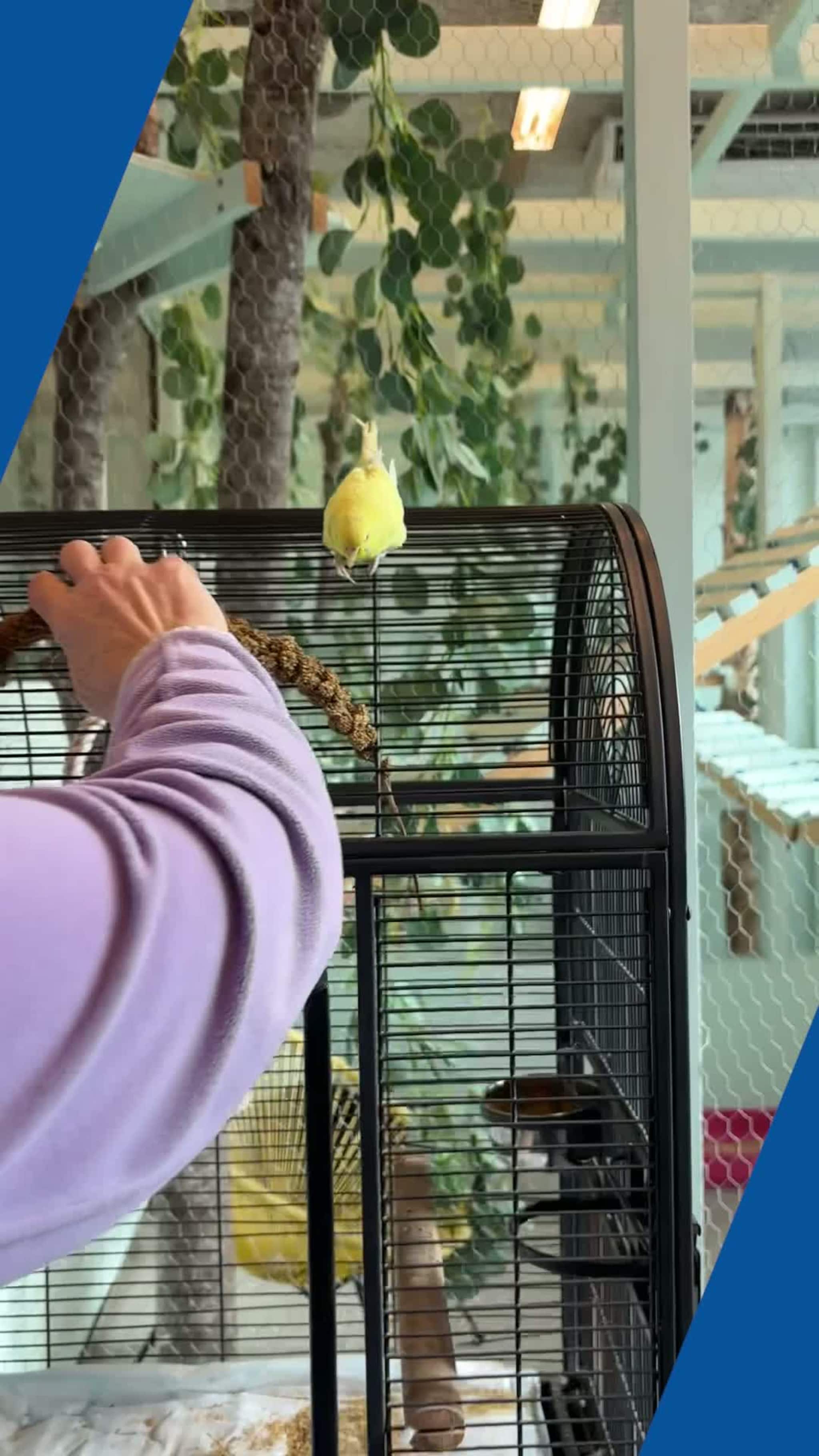 Har klort seg fast i bransjen