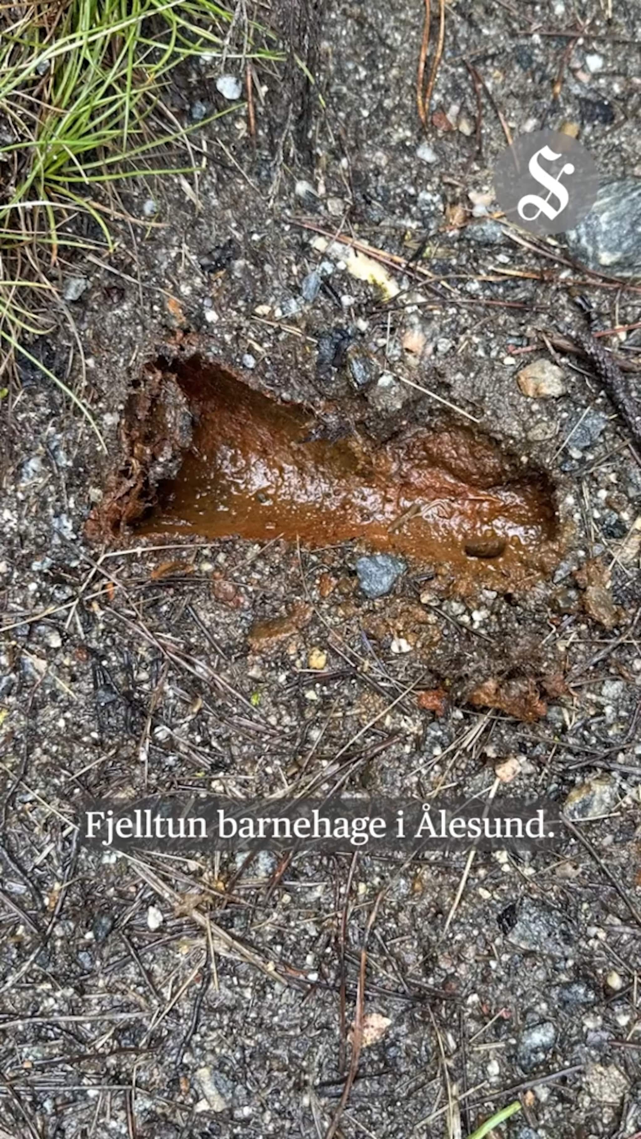 Fant granat i barnehage