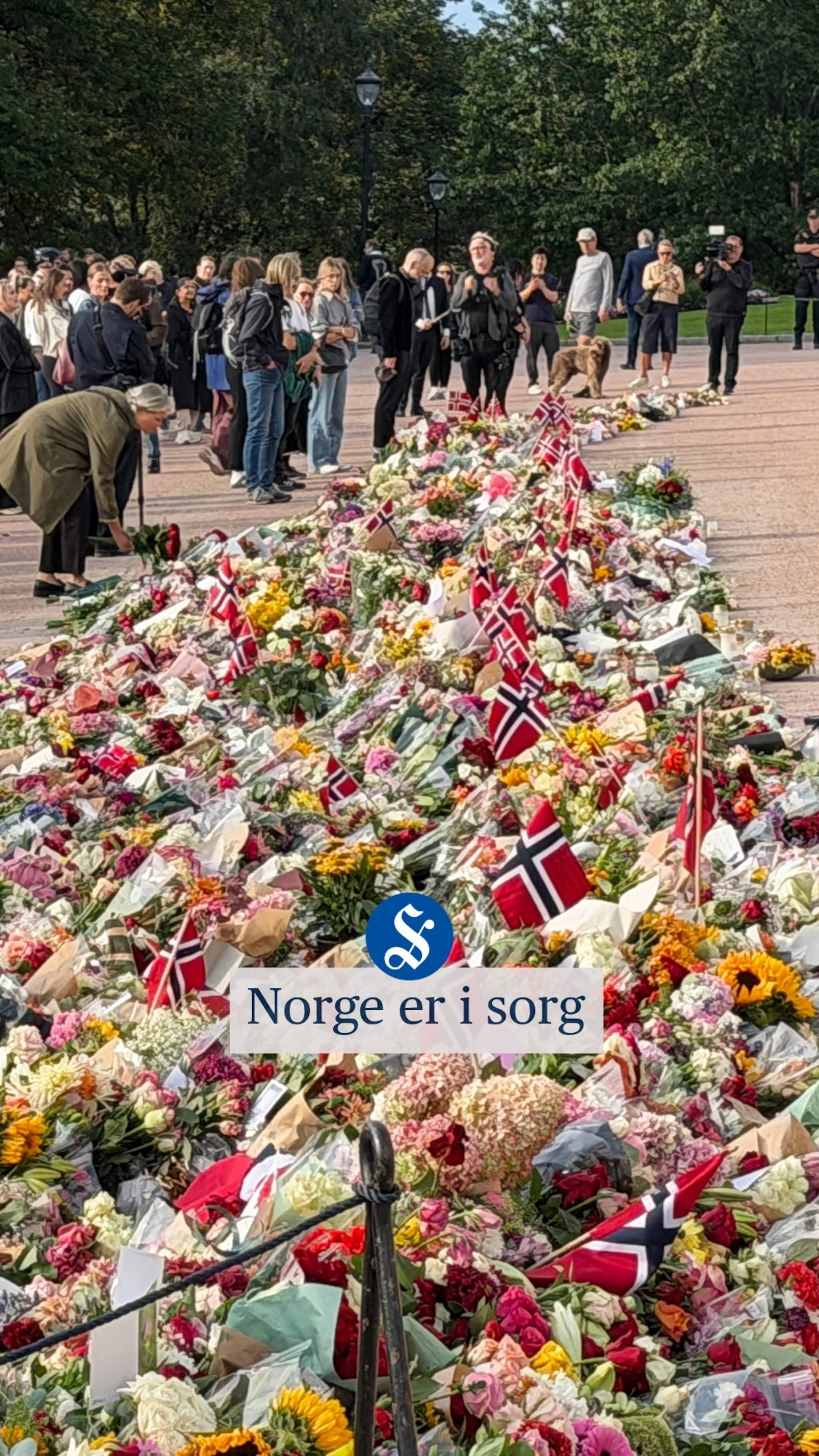 Blomsterhav i Oslo