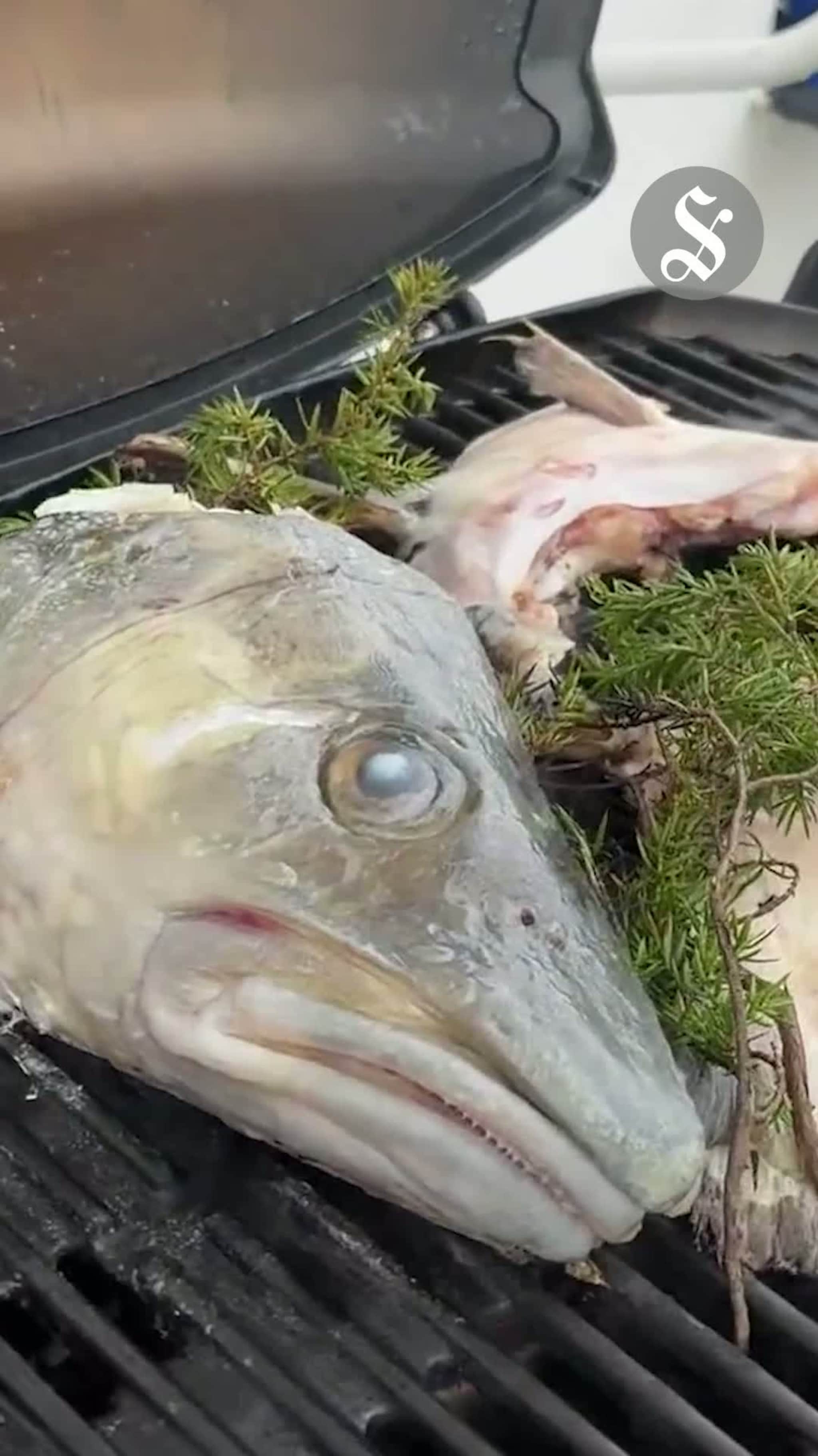 God stemning på fjorden