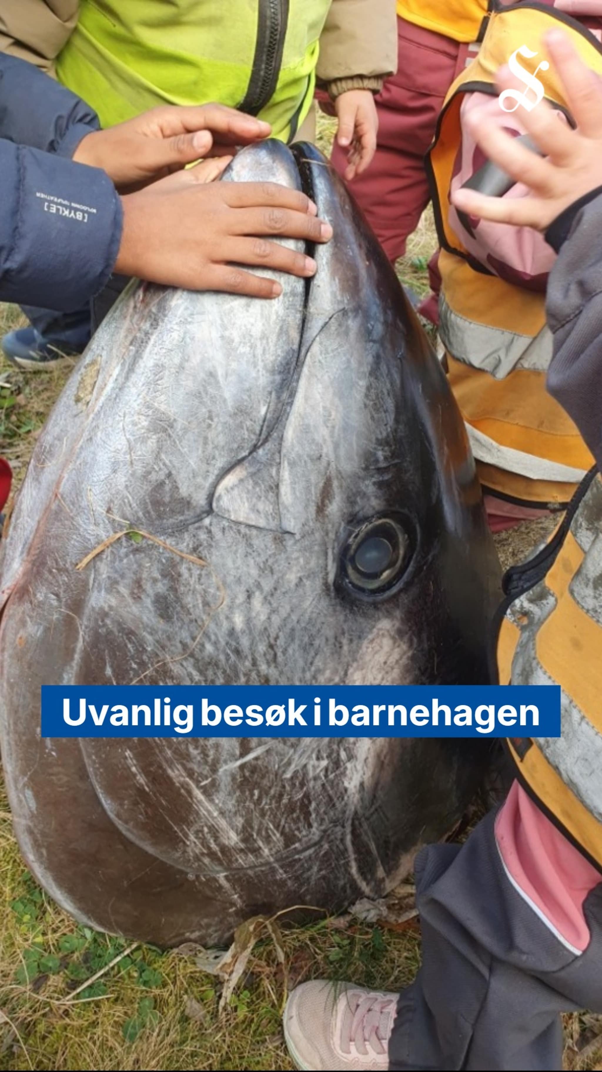 Uvanlig besøk i barnehagen