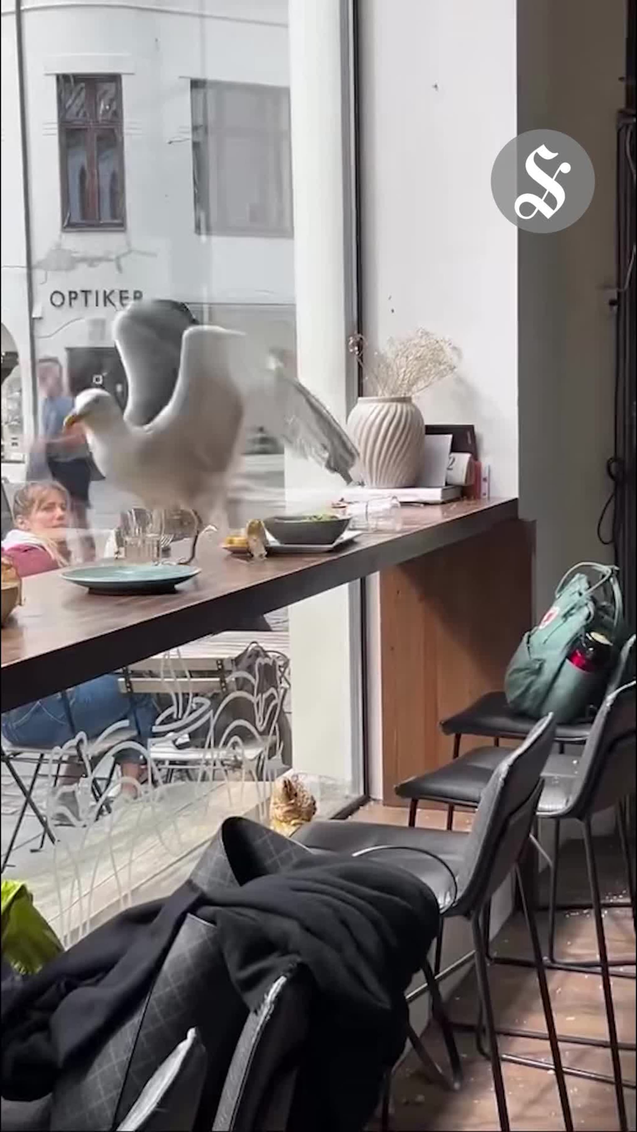 Ubuden kafé-gjest