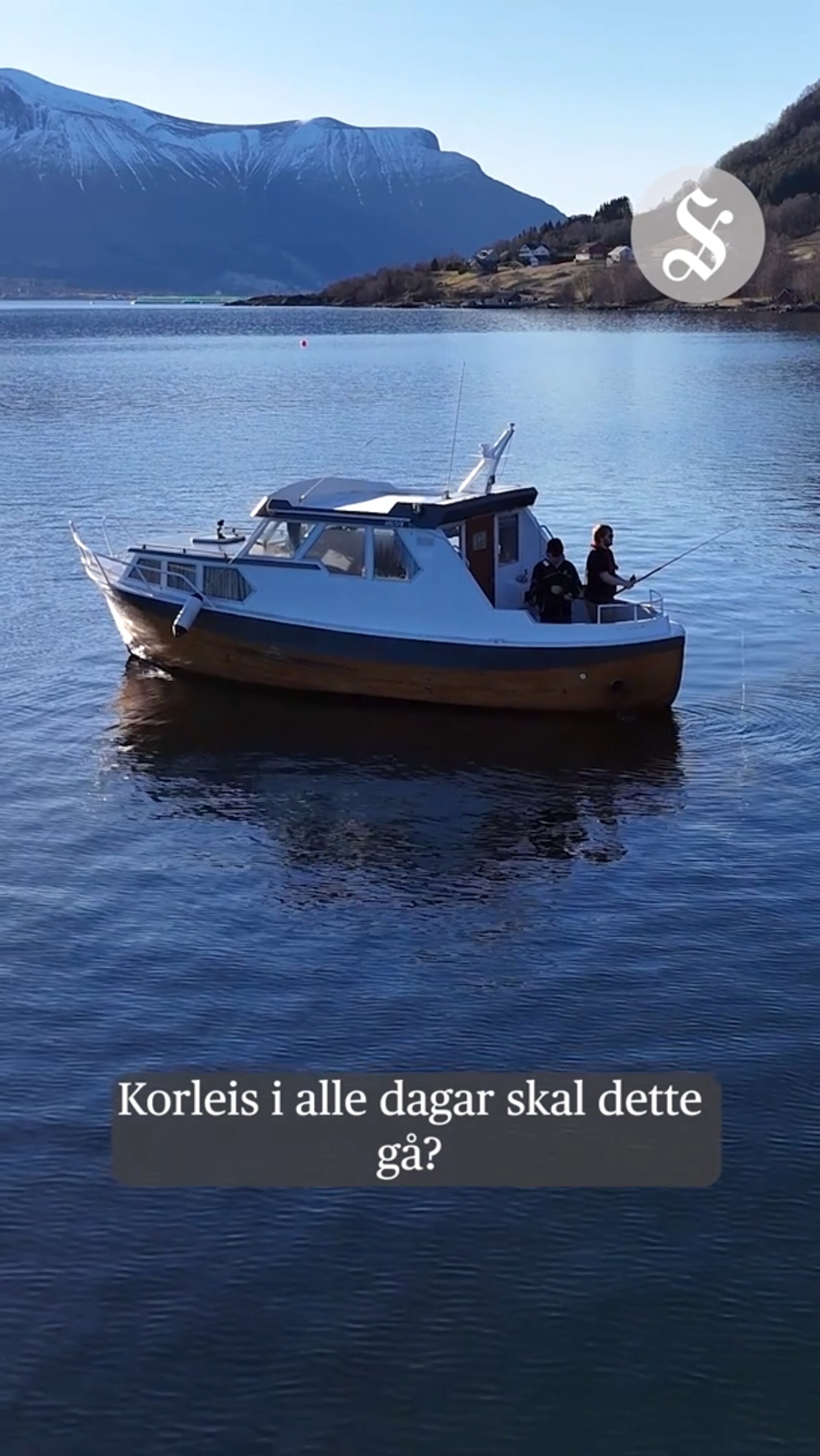 Ny serie: Fisk eller fiasko?