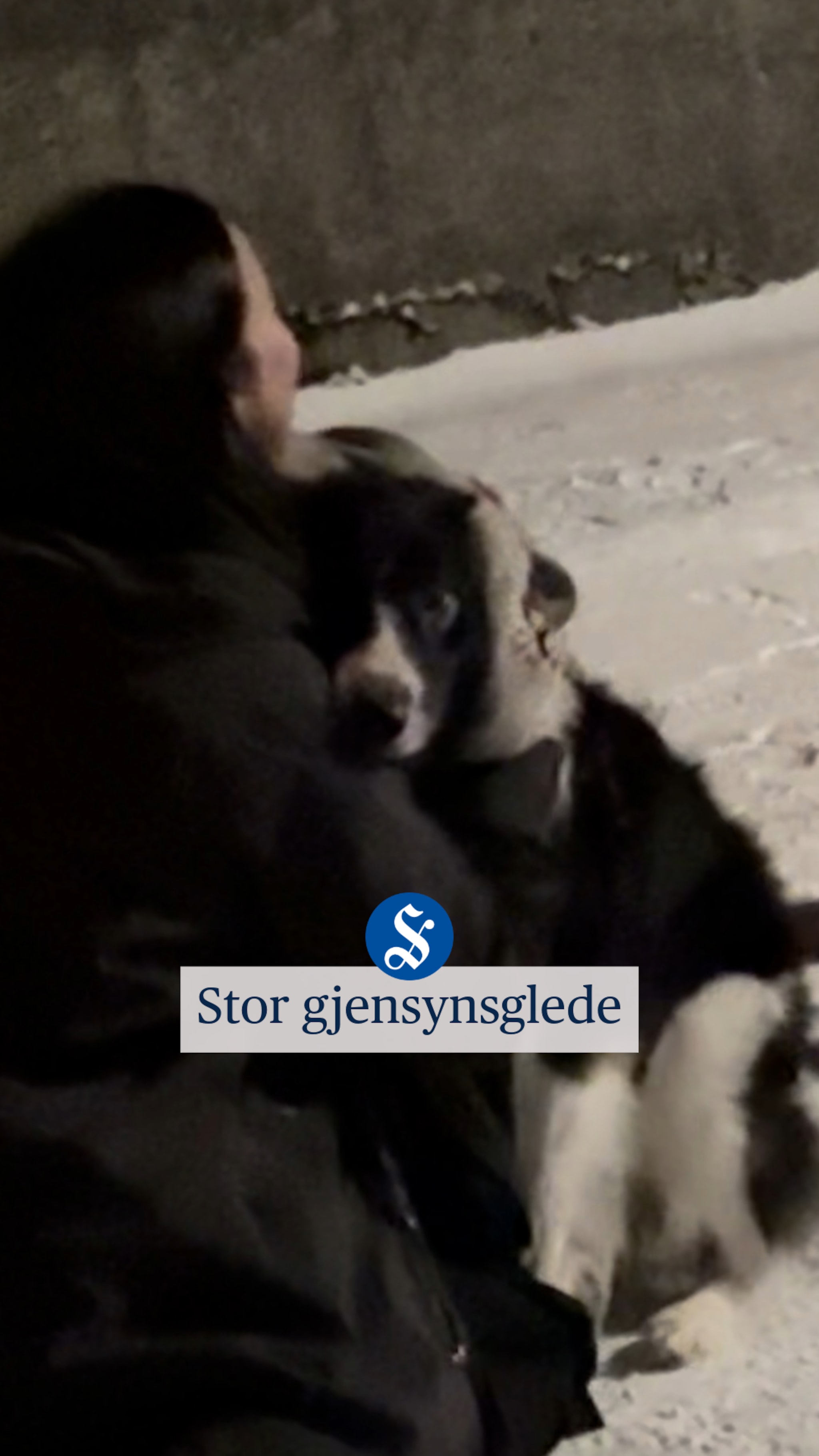 Her blir det ekte gjensynsglede