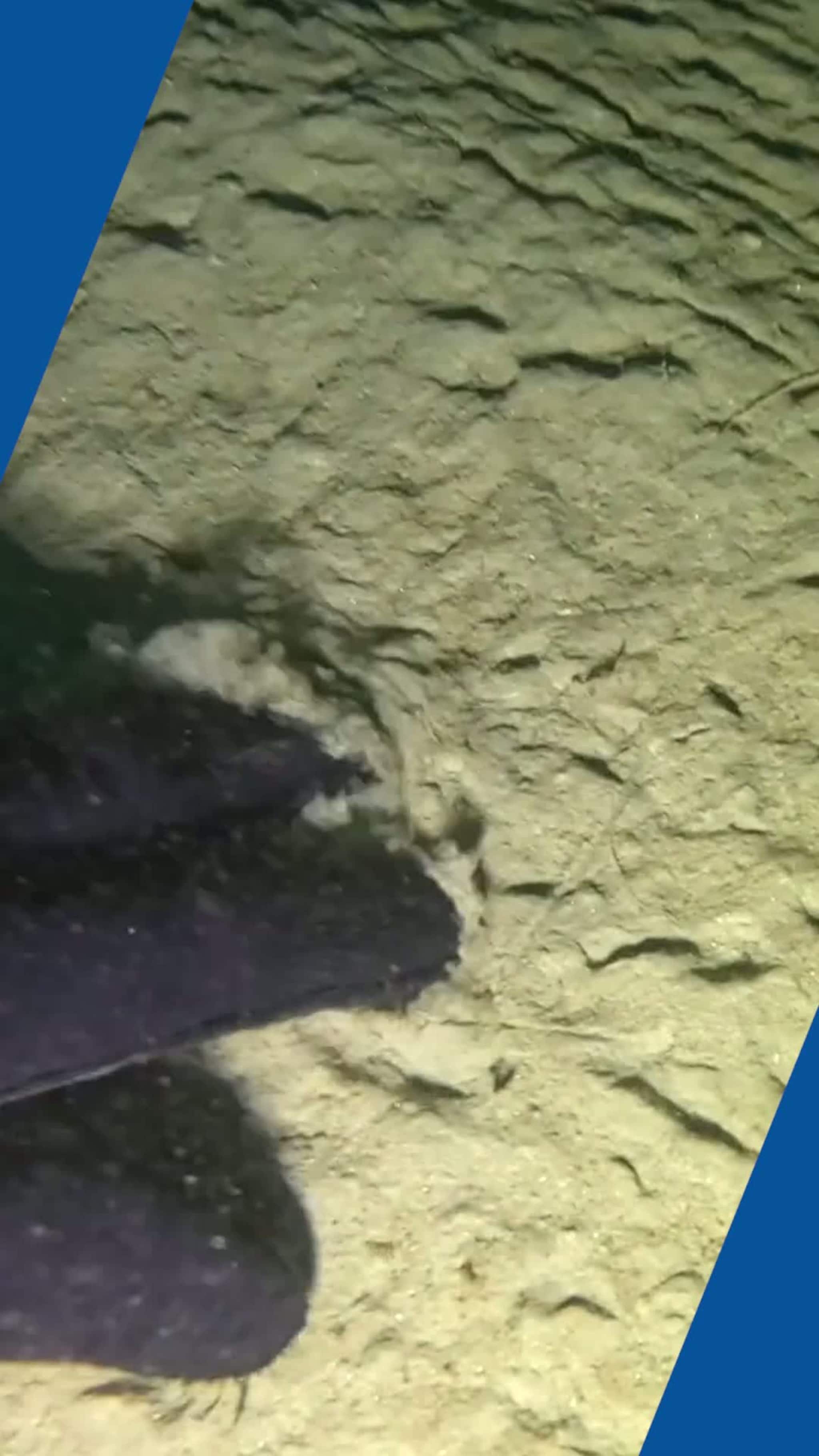 Se video fra bygrunna