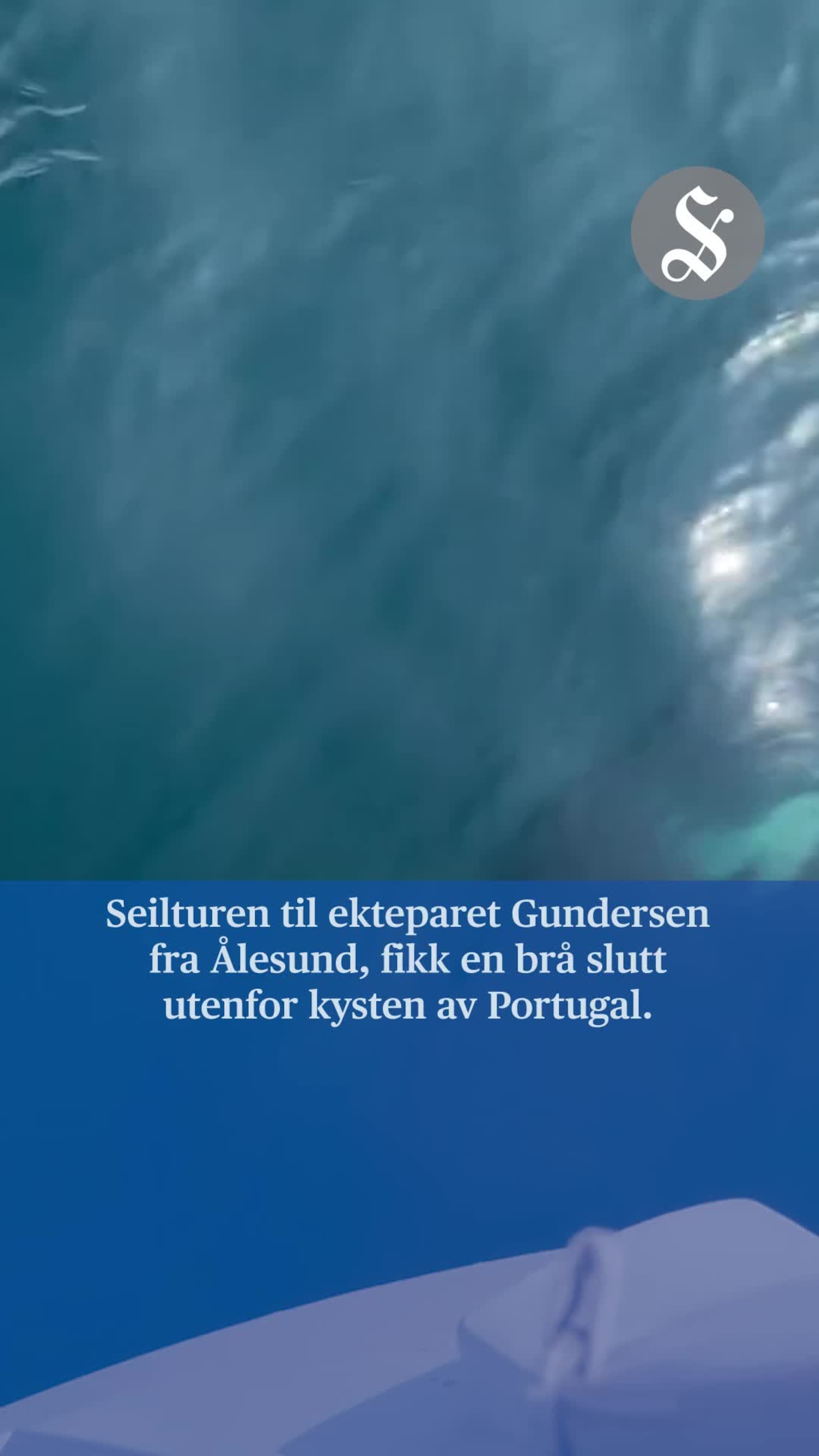 Angrepet av spekkhoggere