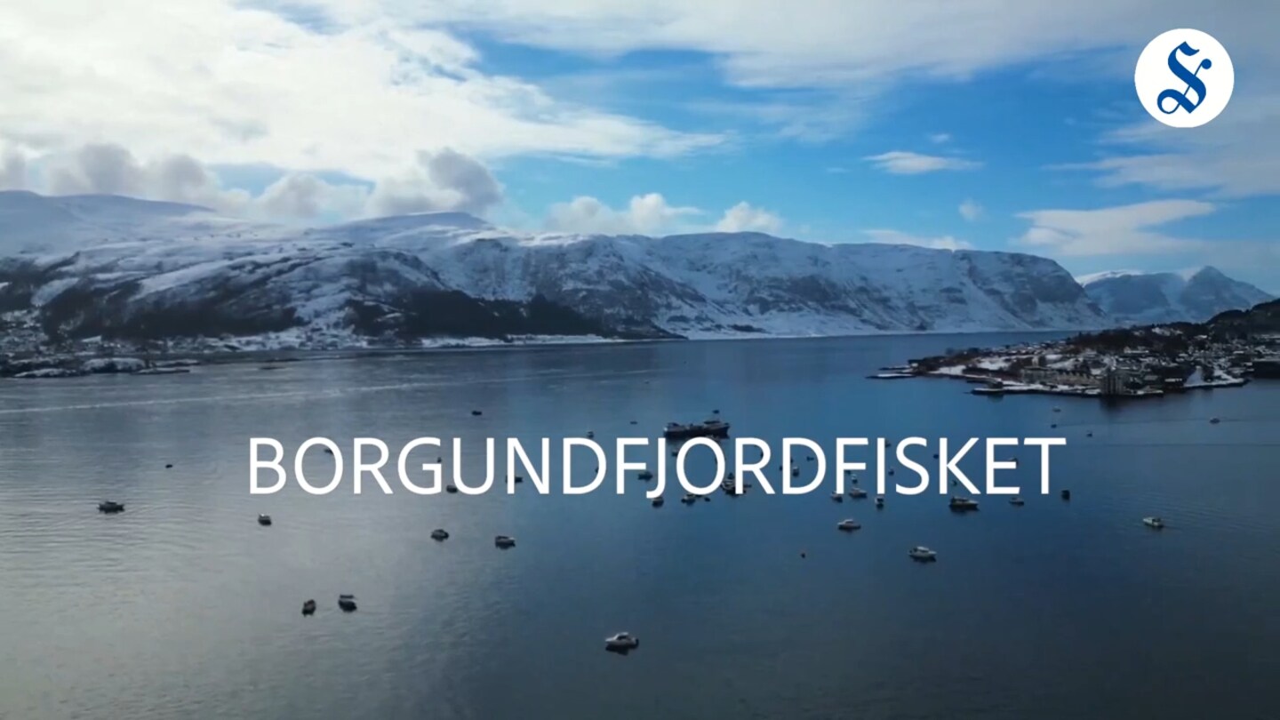 Borgundfjordfisket 2024