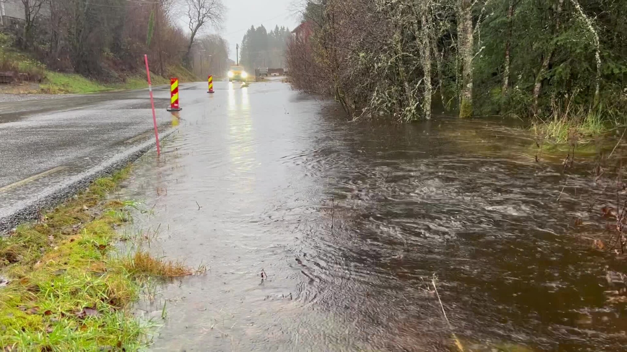 Flaum på Ådlandsvegen