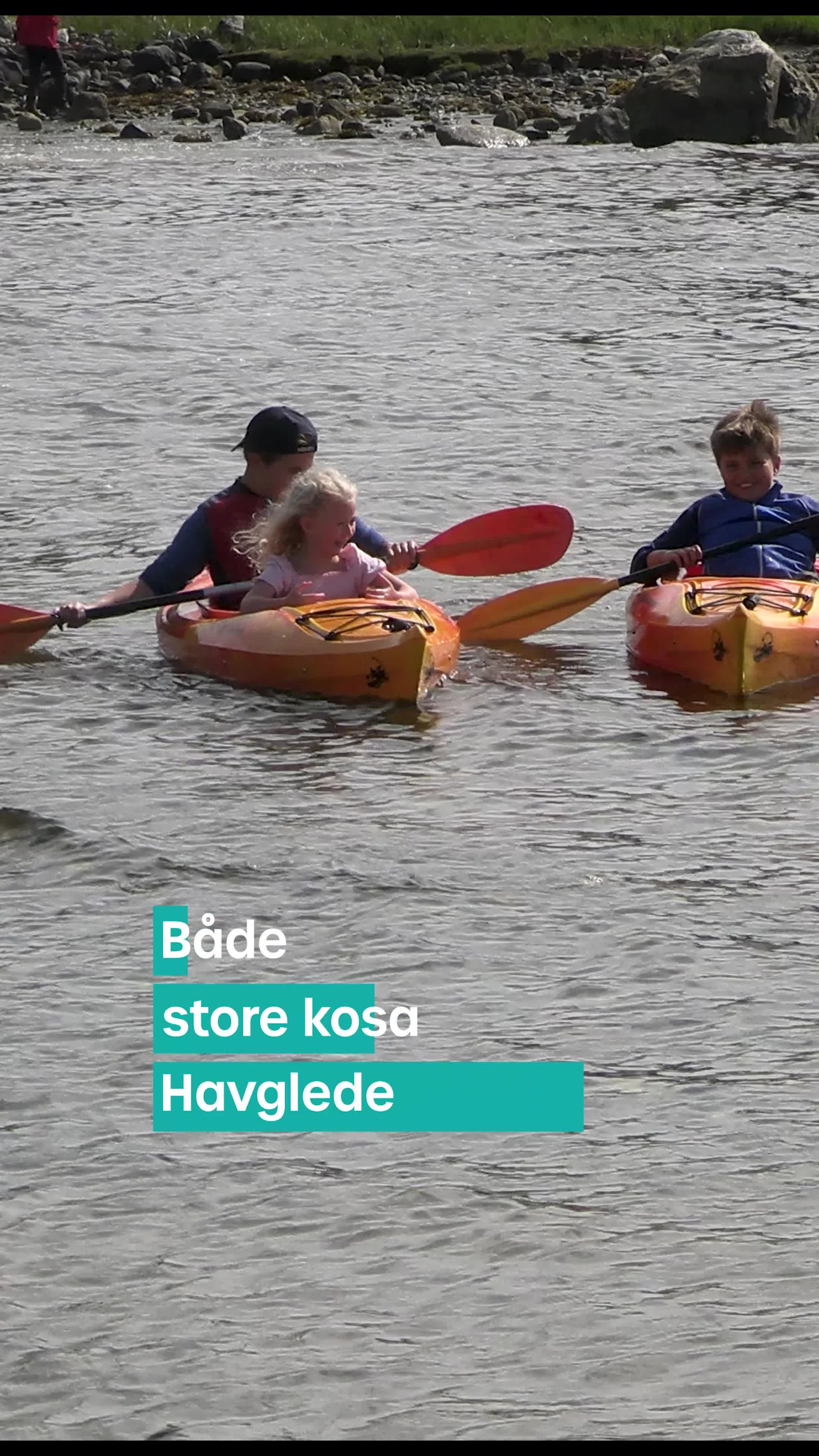 Store og små gleda seg med Havglede