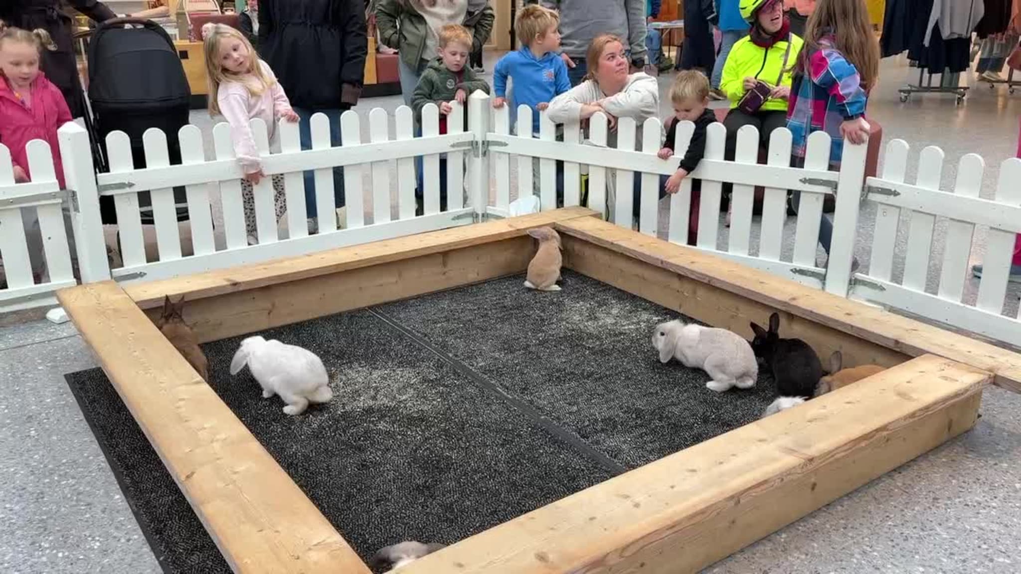 Hoppeti hopp - kaninane var populære på Bondens dag