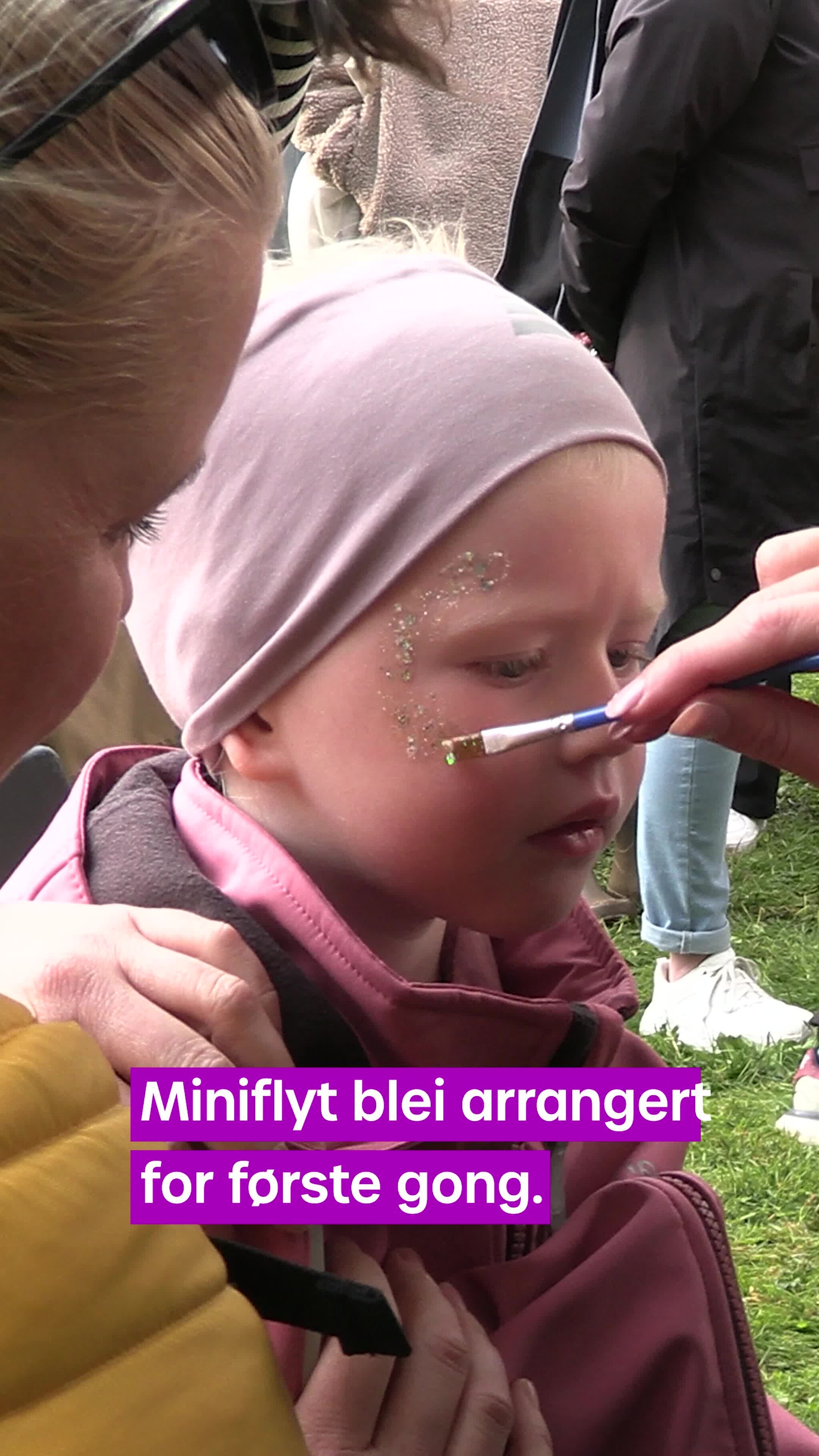 Dei minste herja under Miniflyt