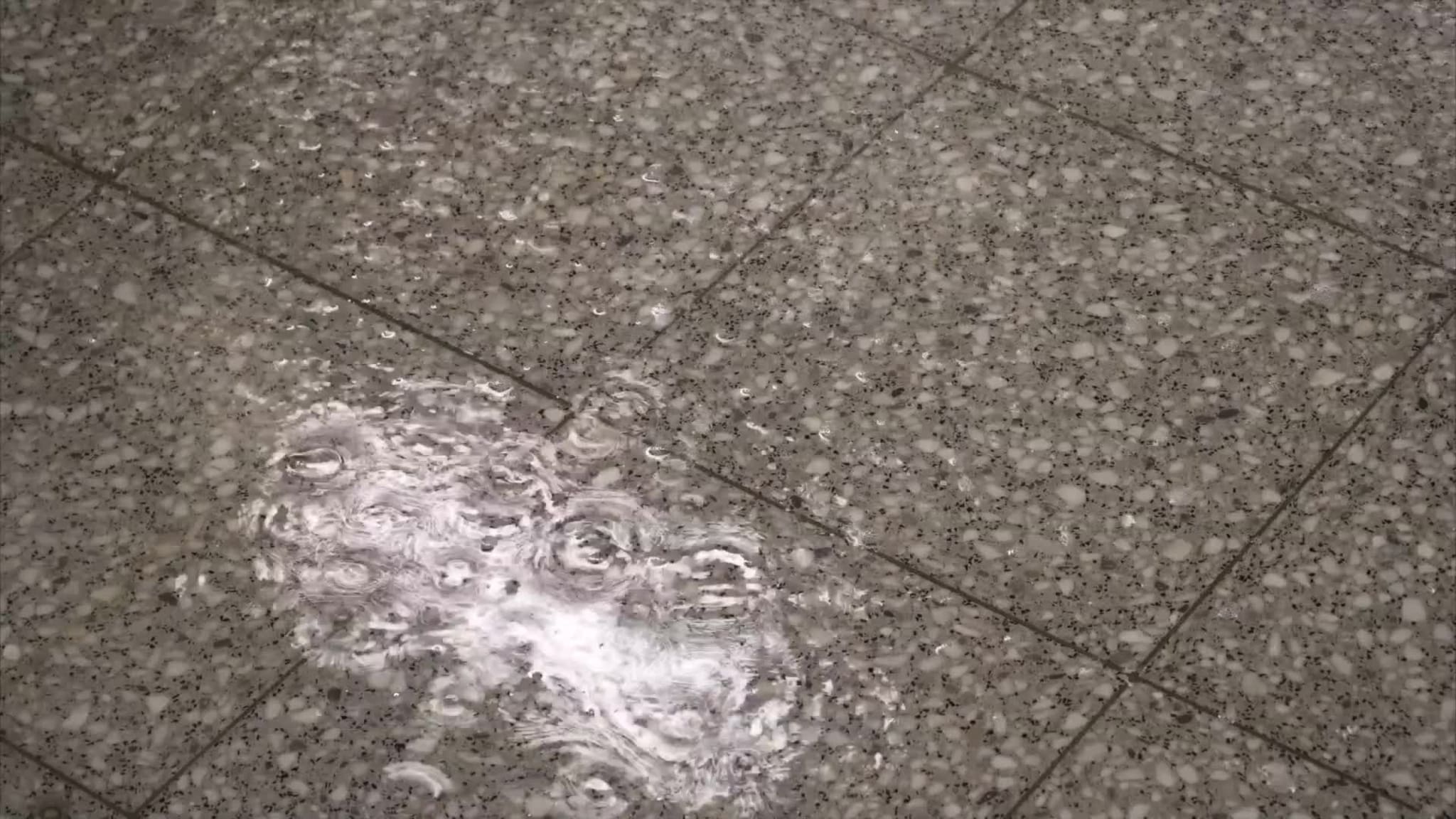 Kaos i Kunnskapshuset