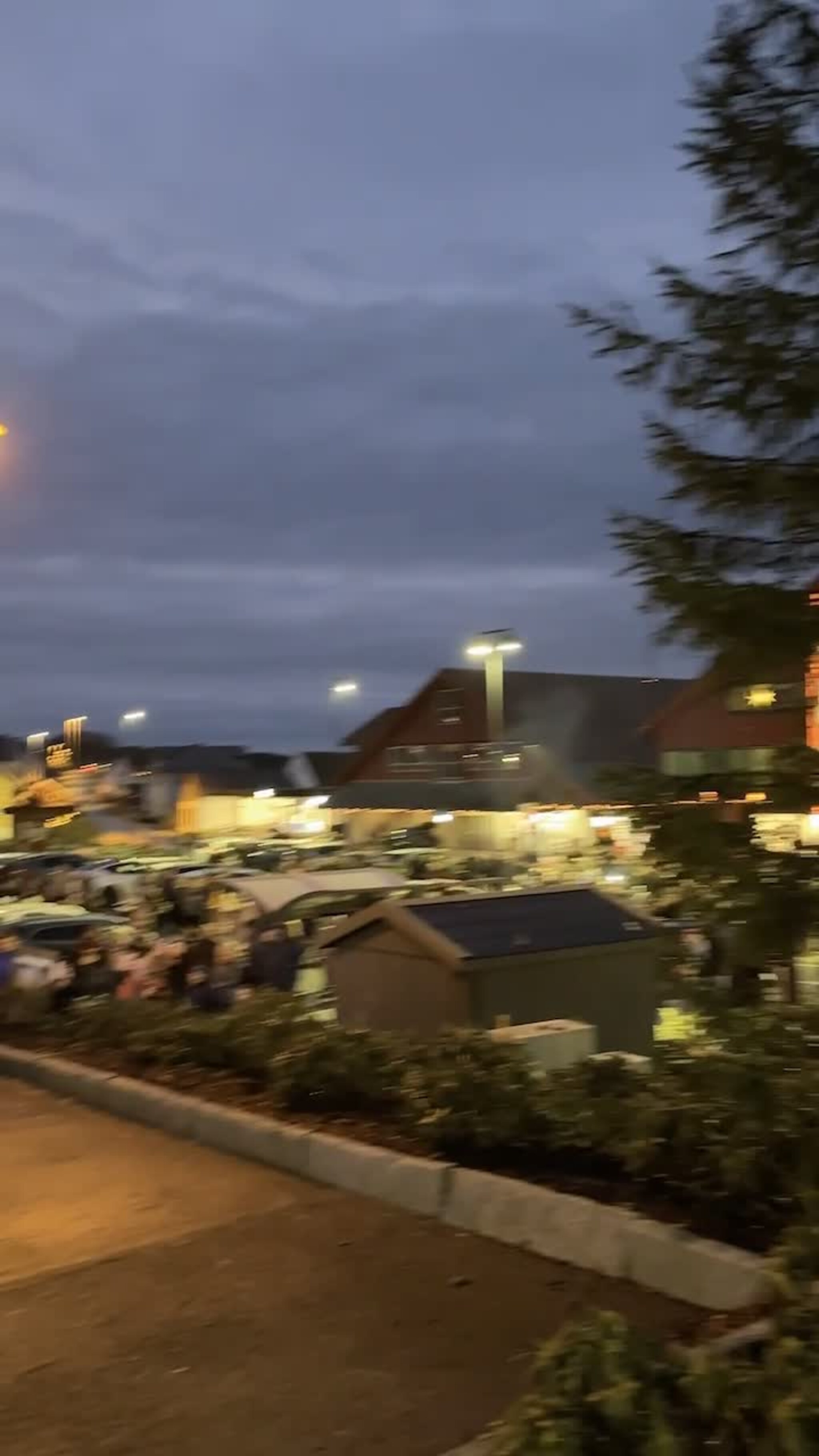 Julegranntenning i Fitjar