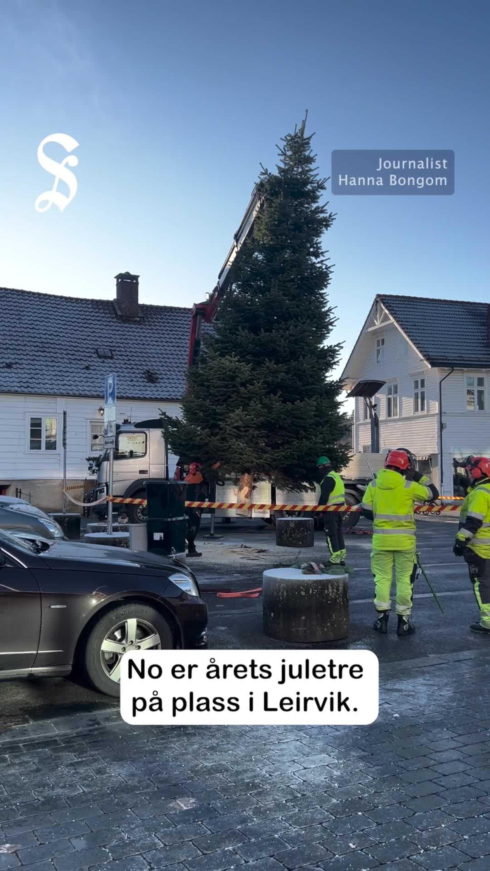 Årets juletre