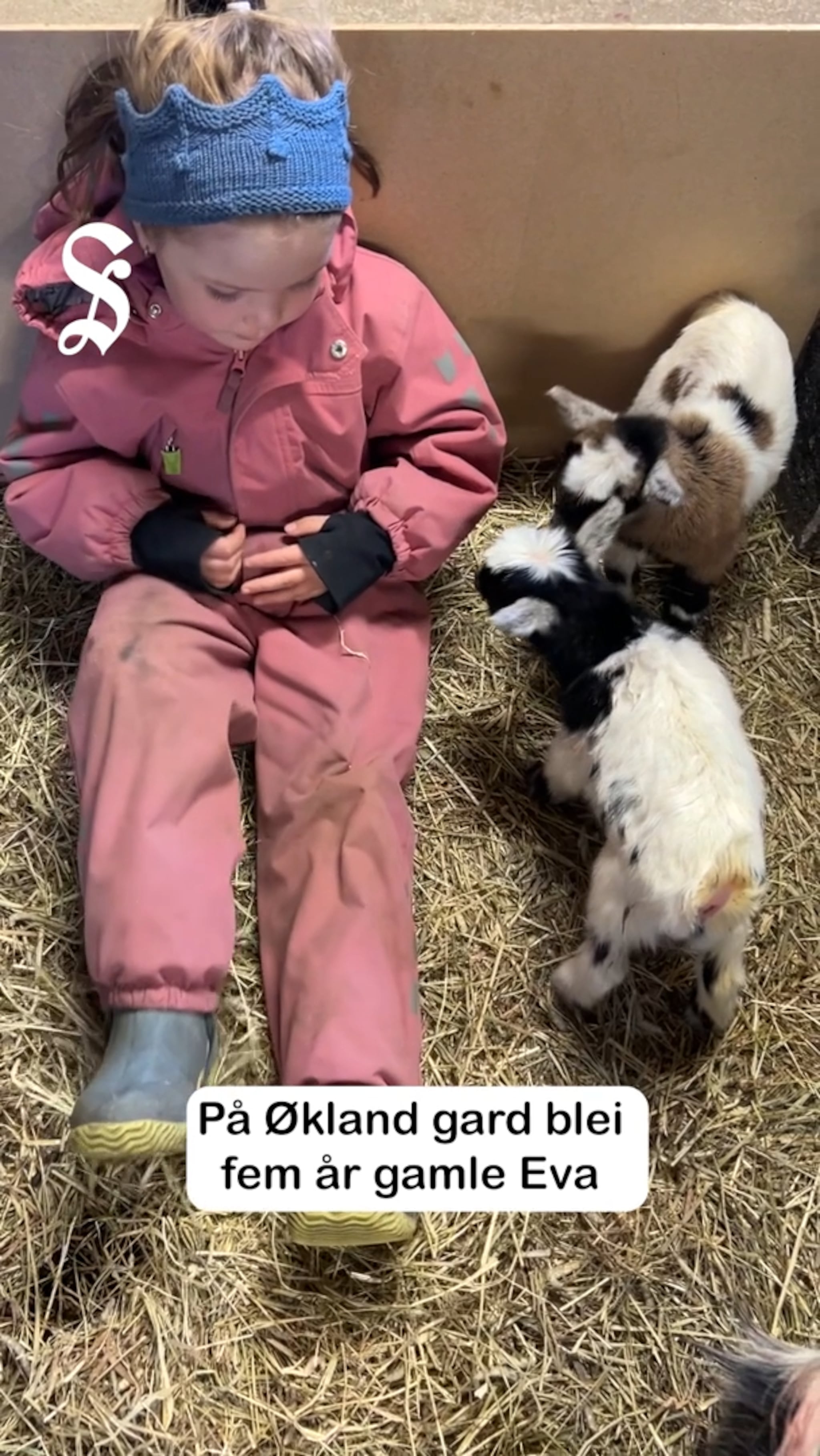 Babyboom på gardane