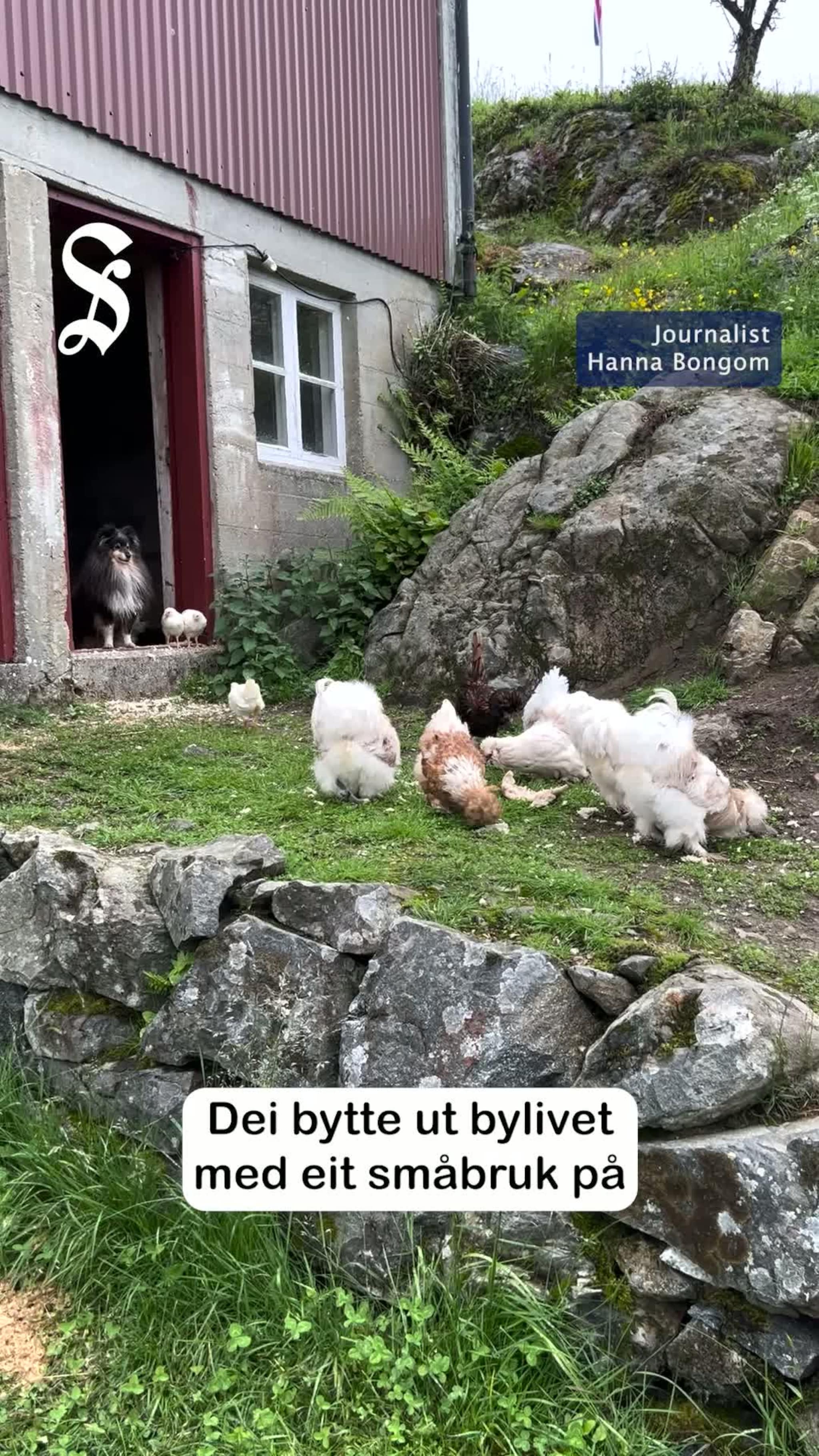 Frå byliv til småbruk