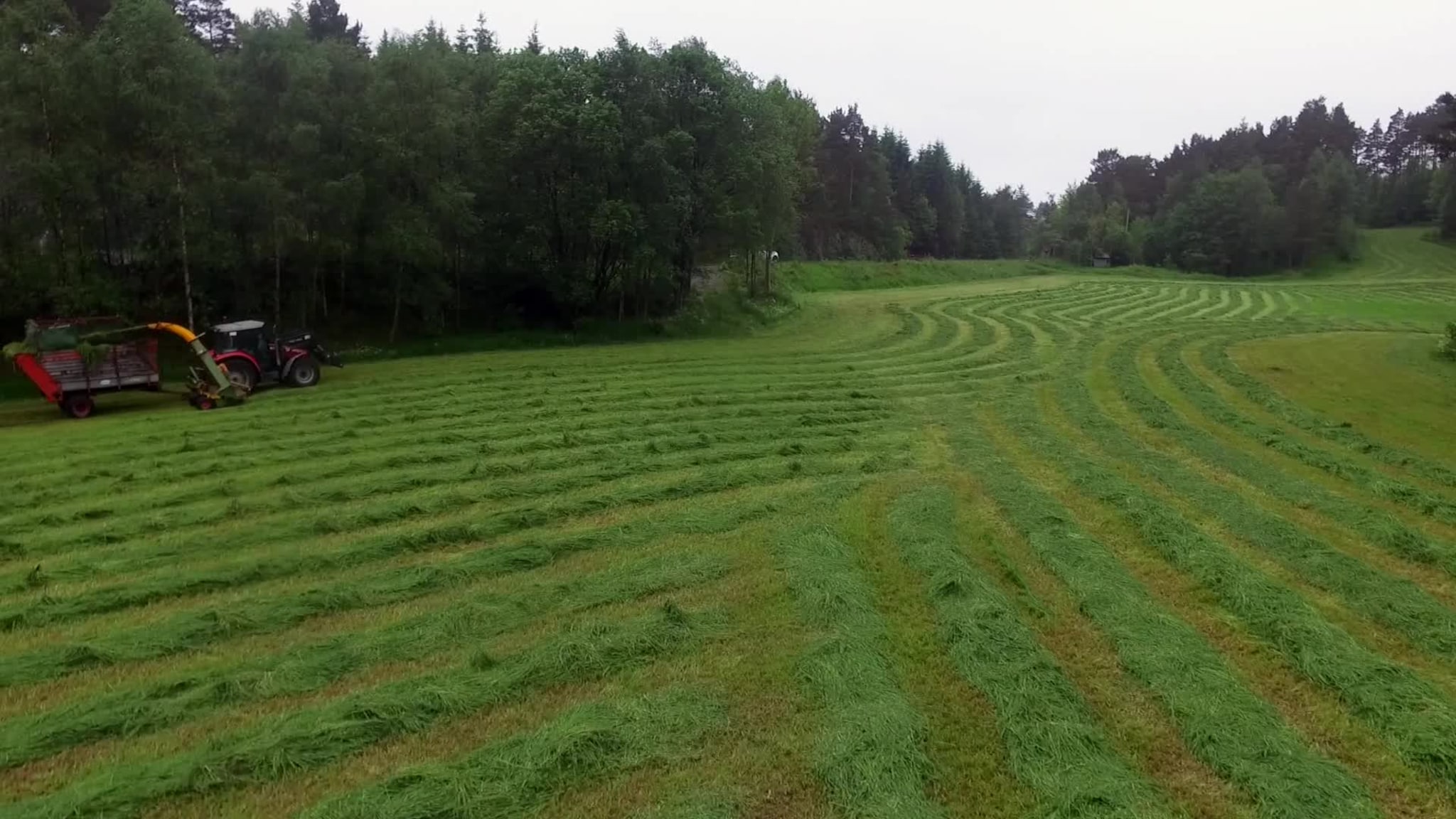 Her er dei i gang med førsteslåtten