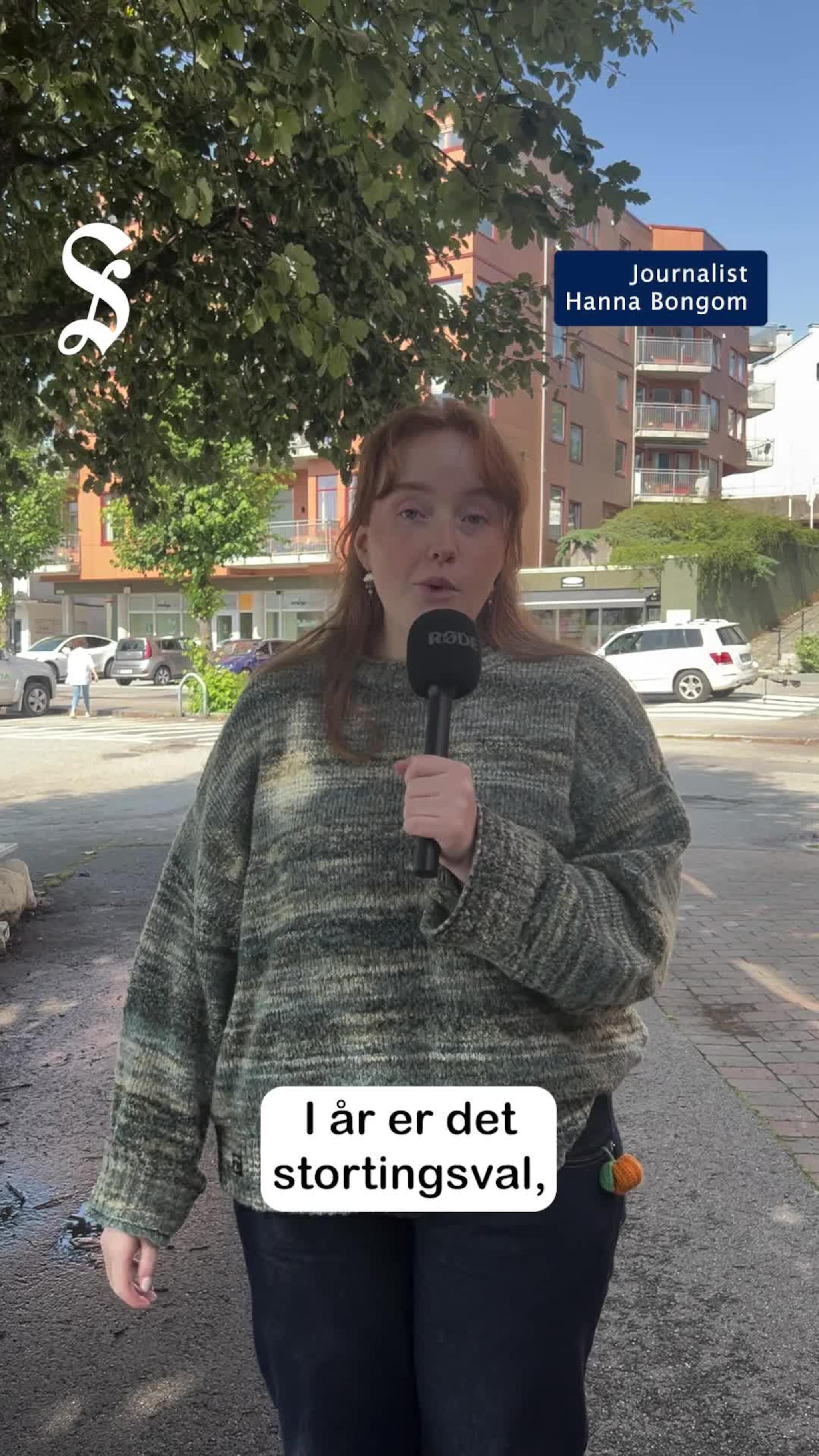 Kvifor skal ein stemma?