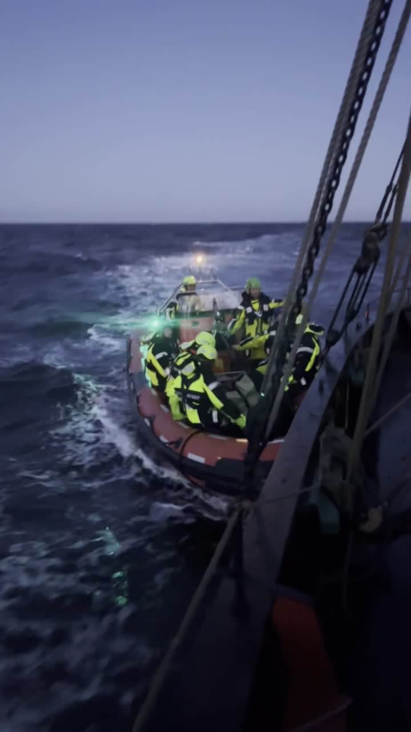 Seladon får hjelp