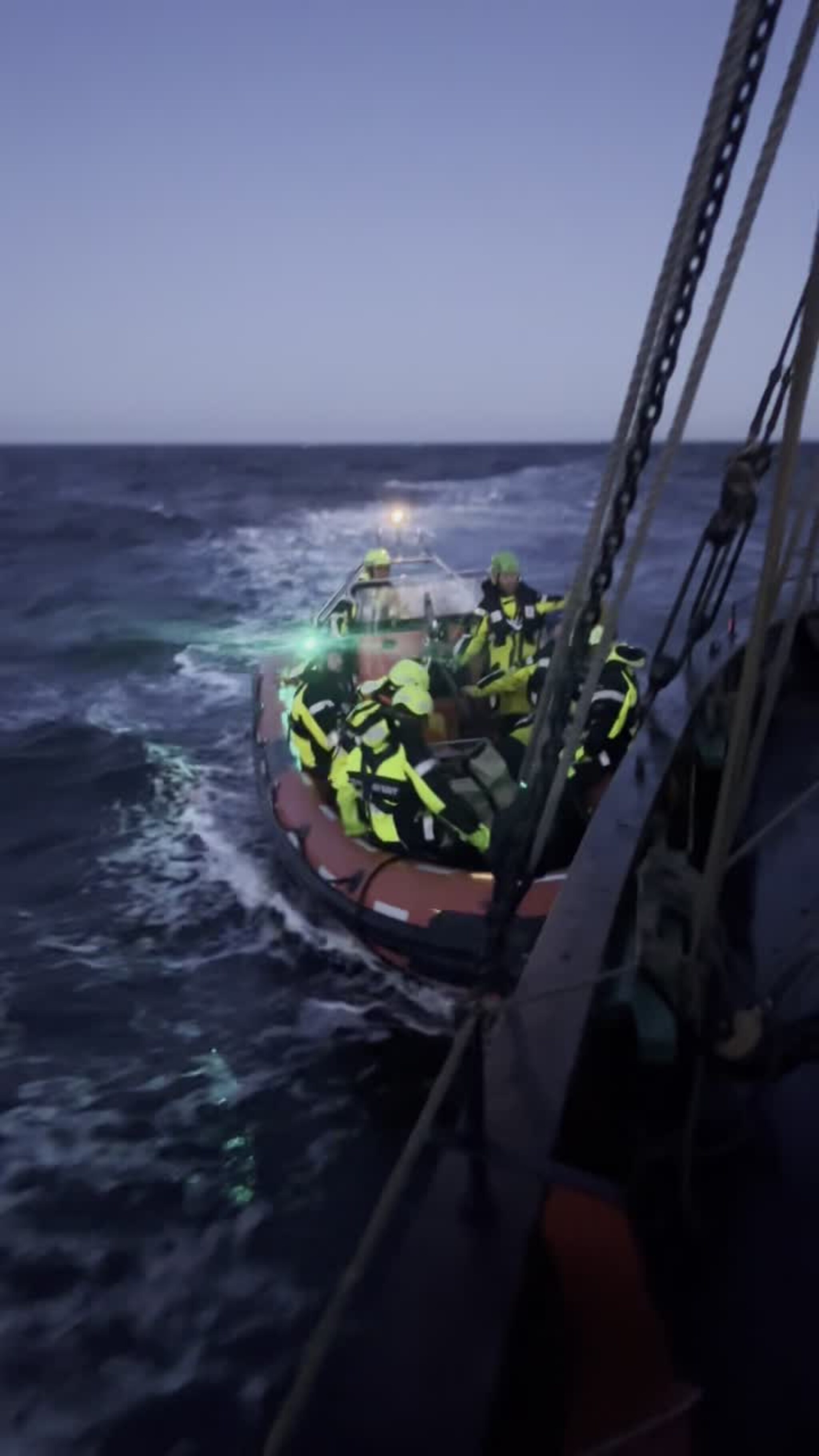 Seladon får hjelp