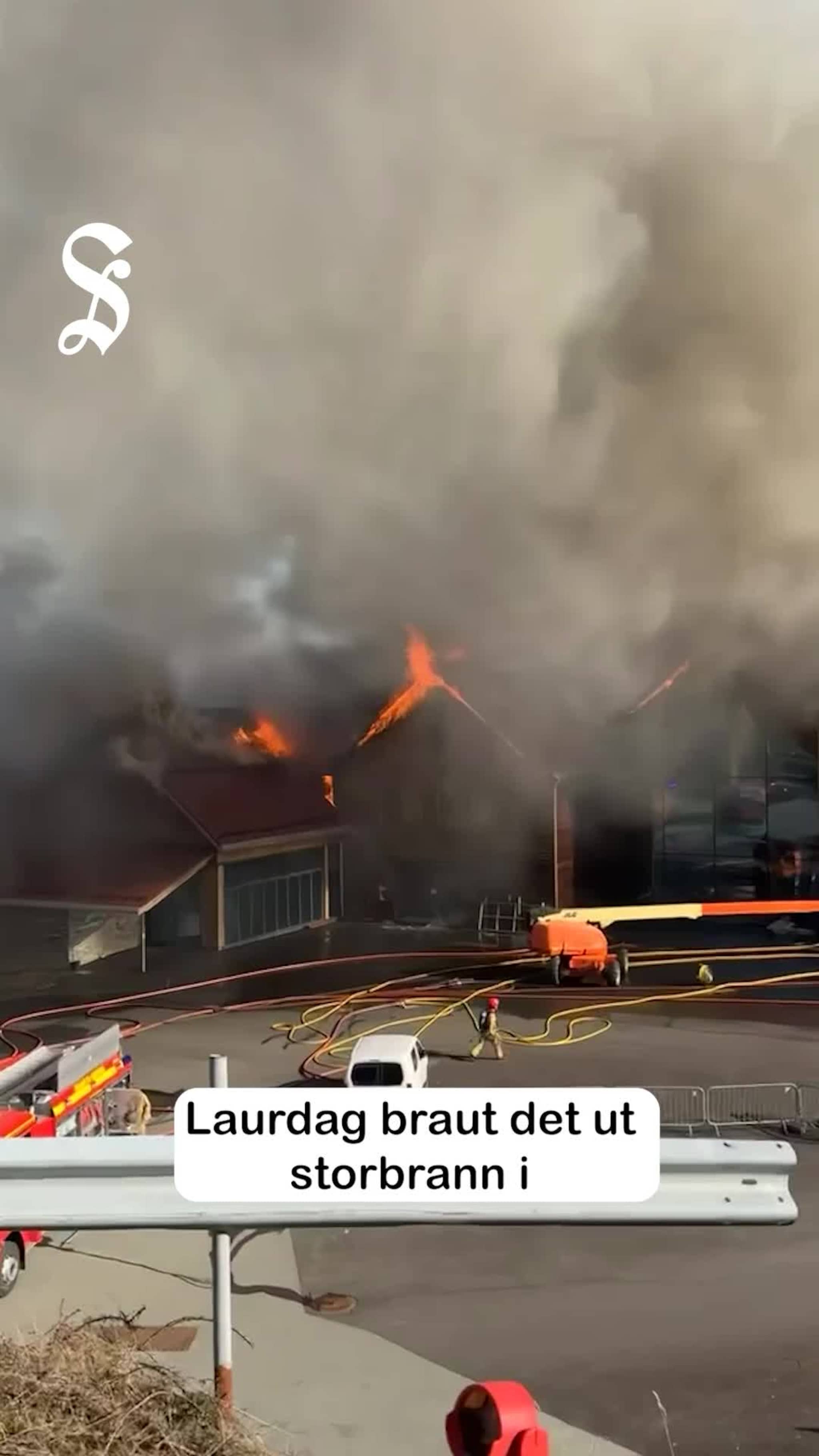Storbrann på Tysnes