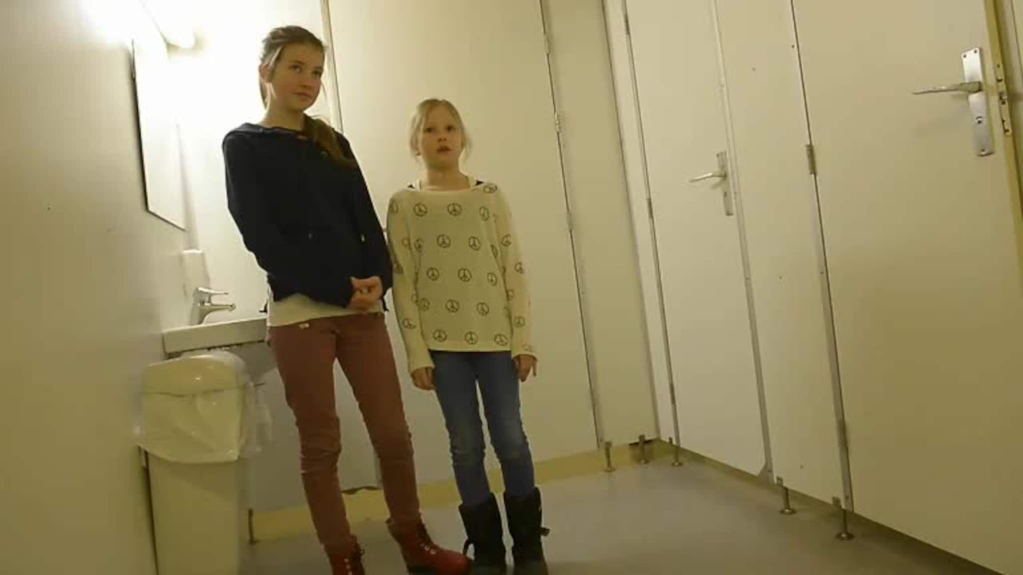 Grisete toalett på skulane
