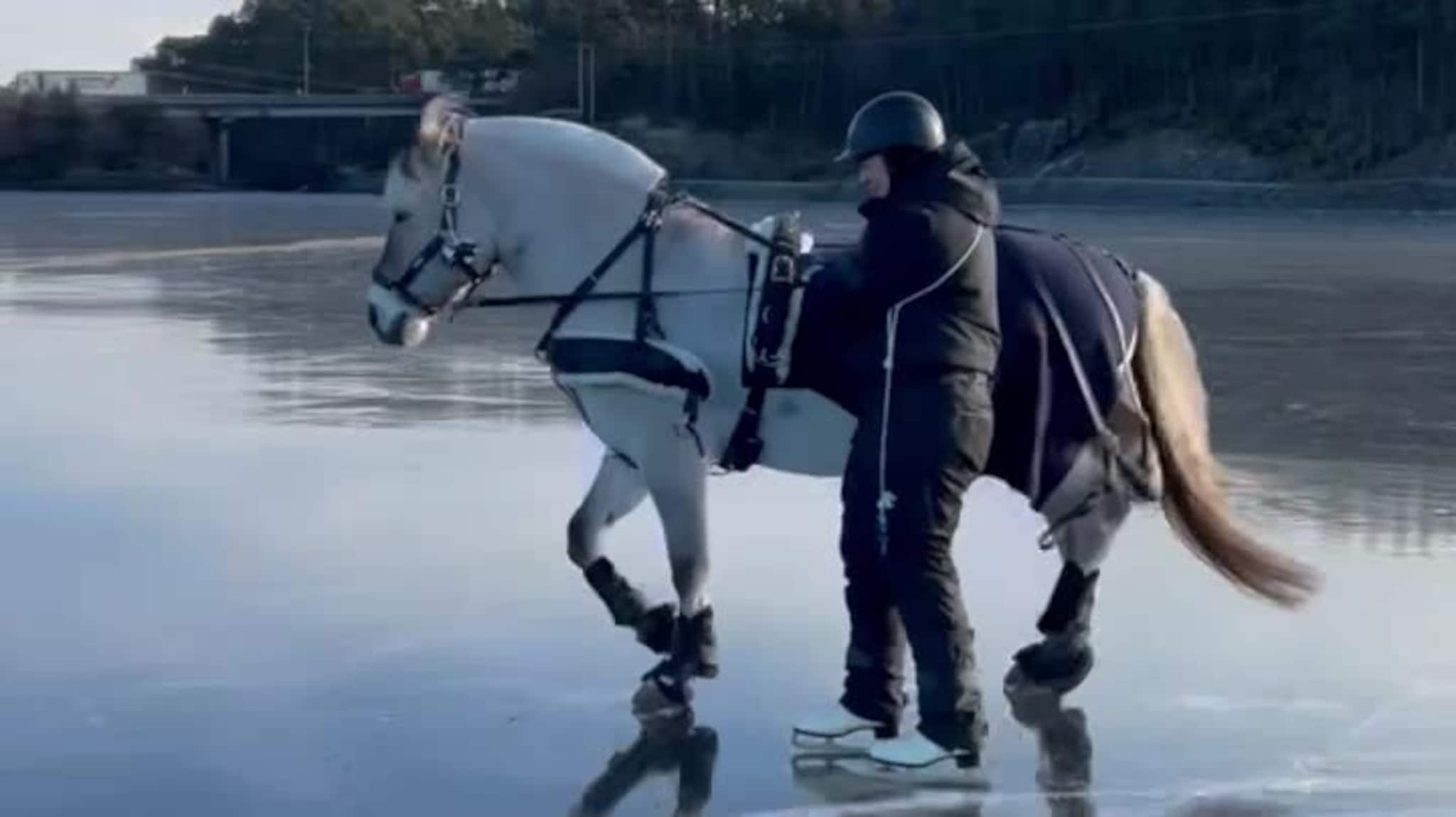 Bølla (14) på isen