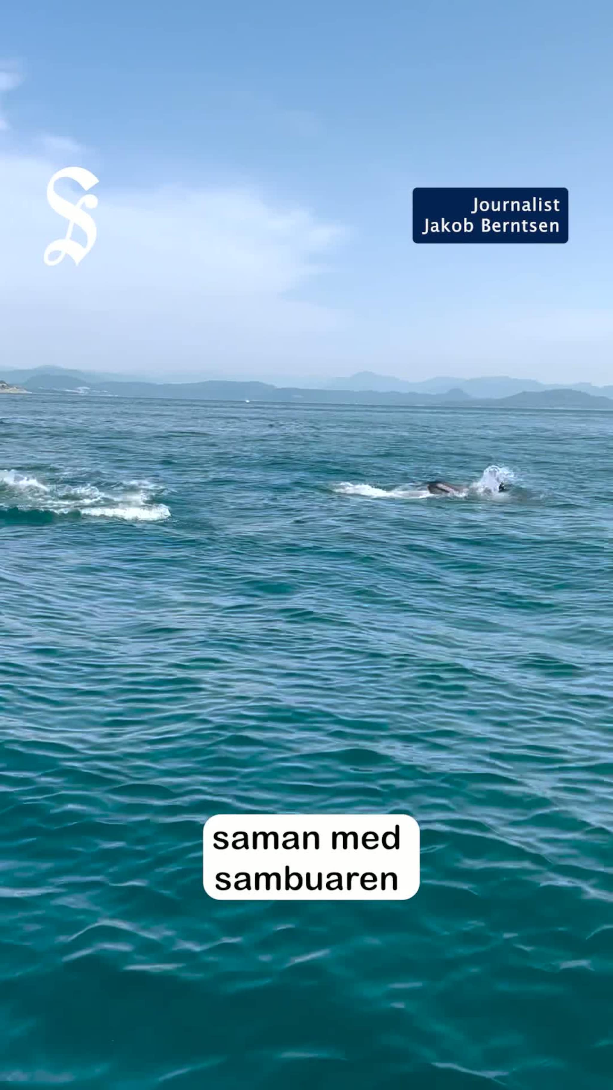 Flokka seg rundt båten