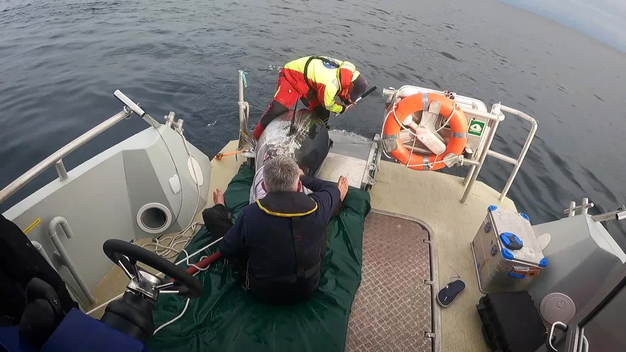 Her går merkingen før seg
