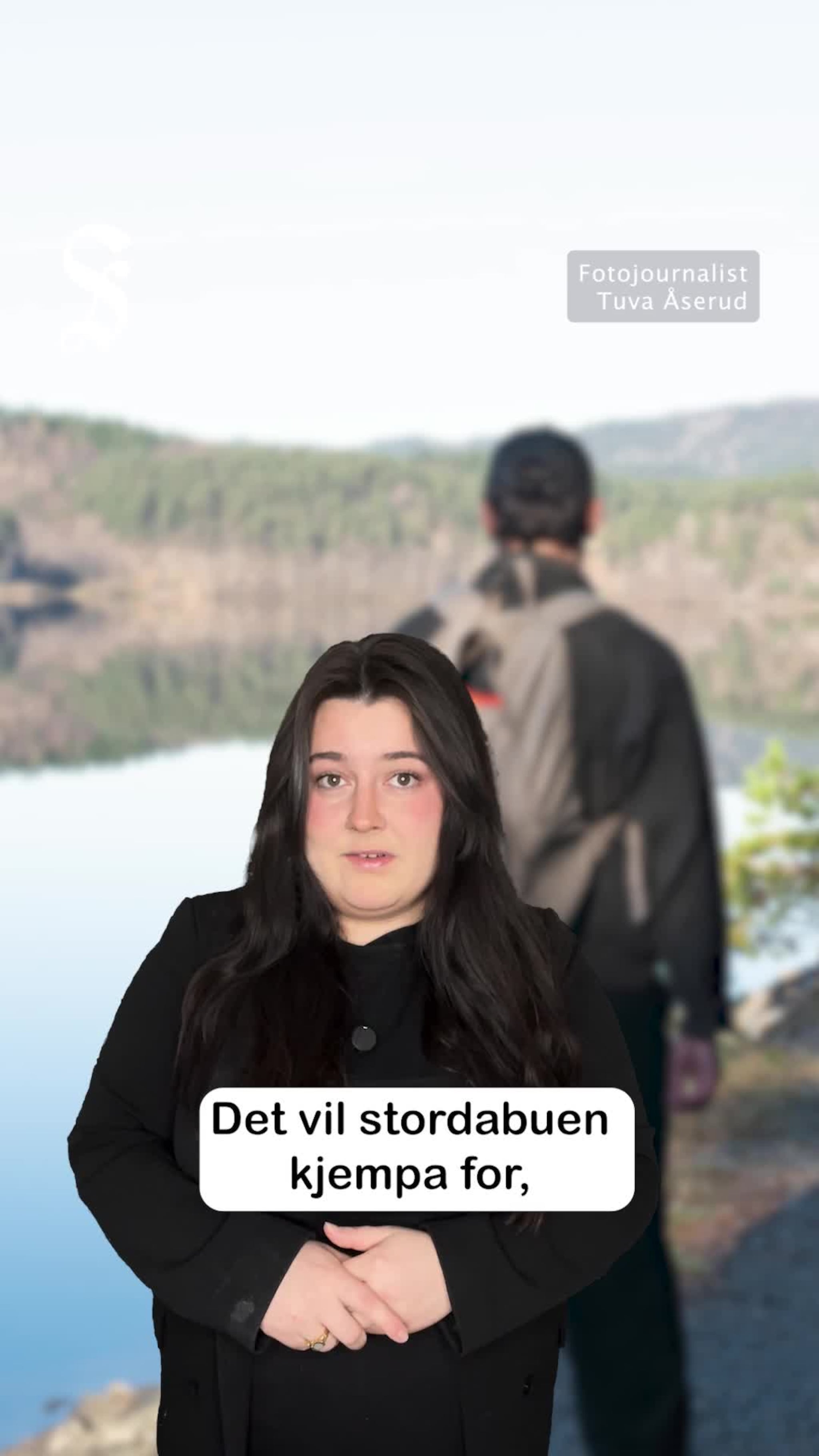 Ulvar vil til Stortinget