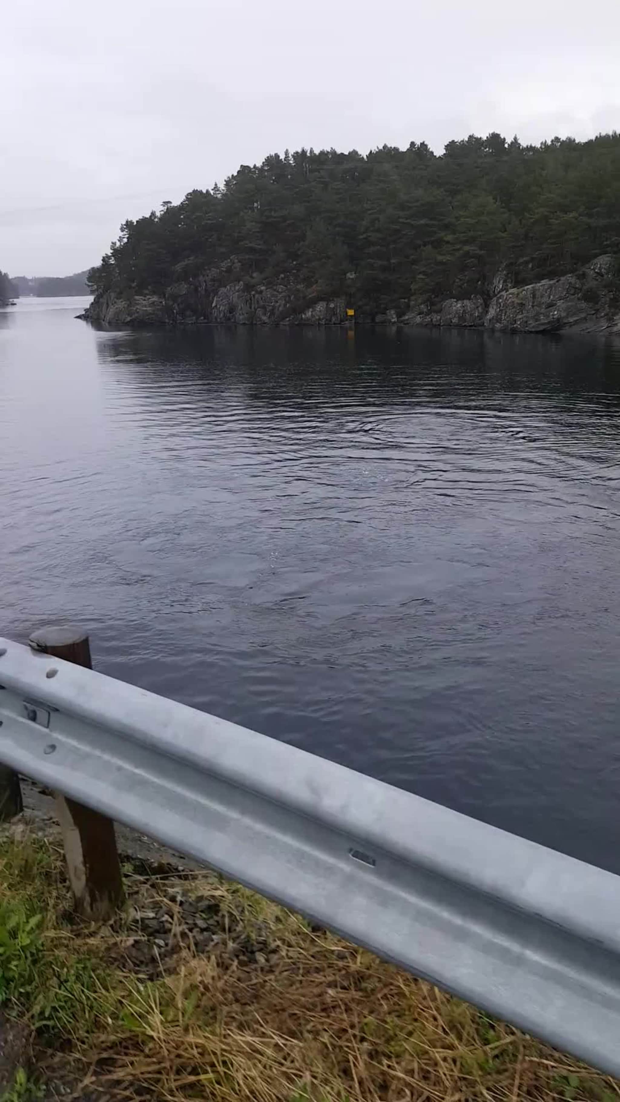 Tett på spekkhoggarar 1/2