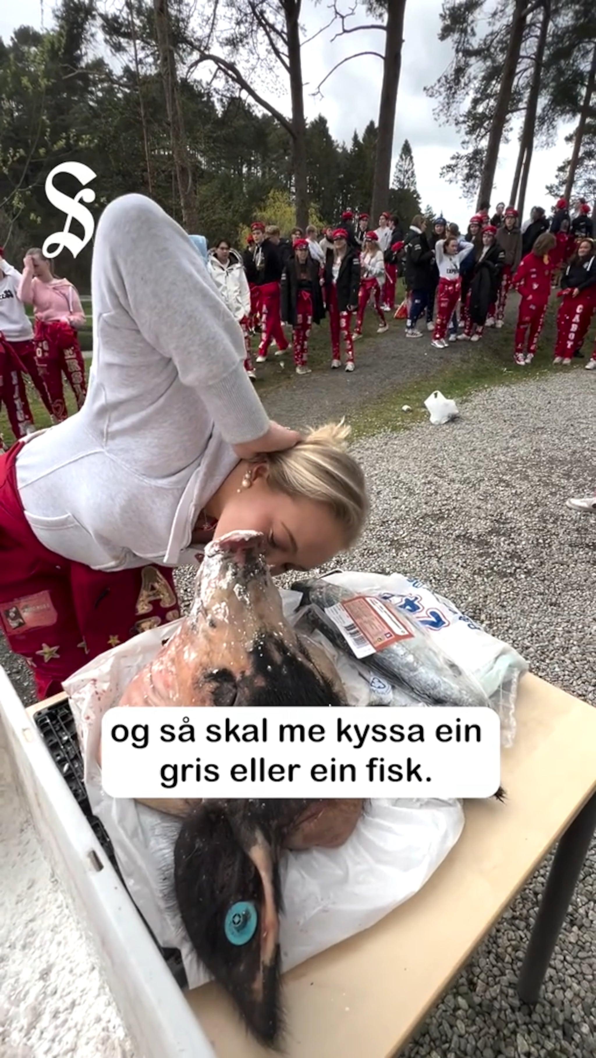Russetida har starta