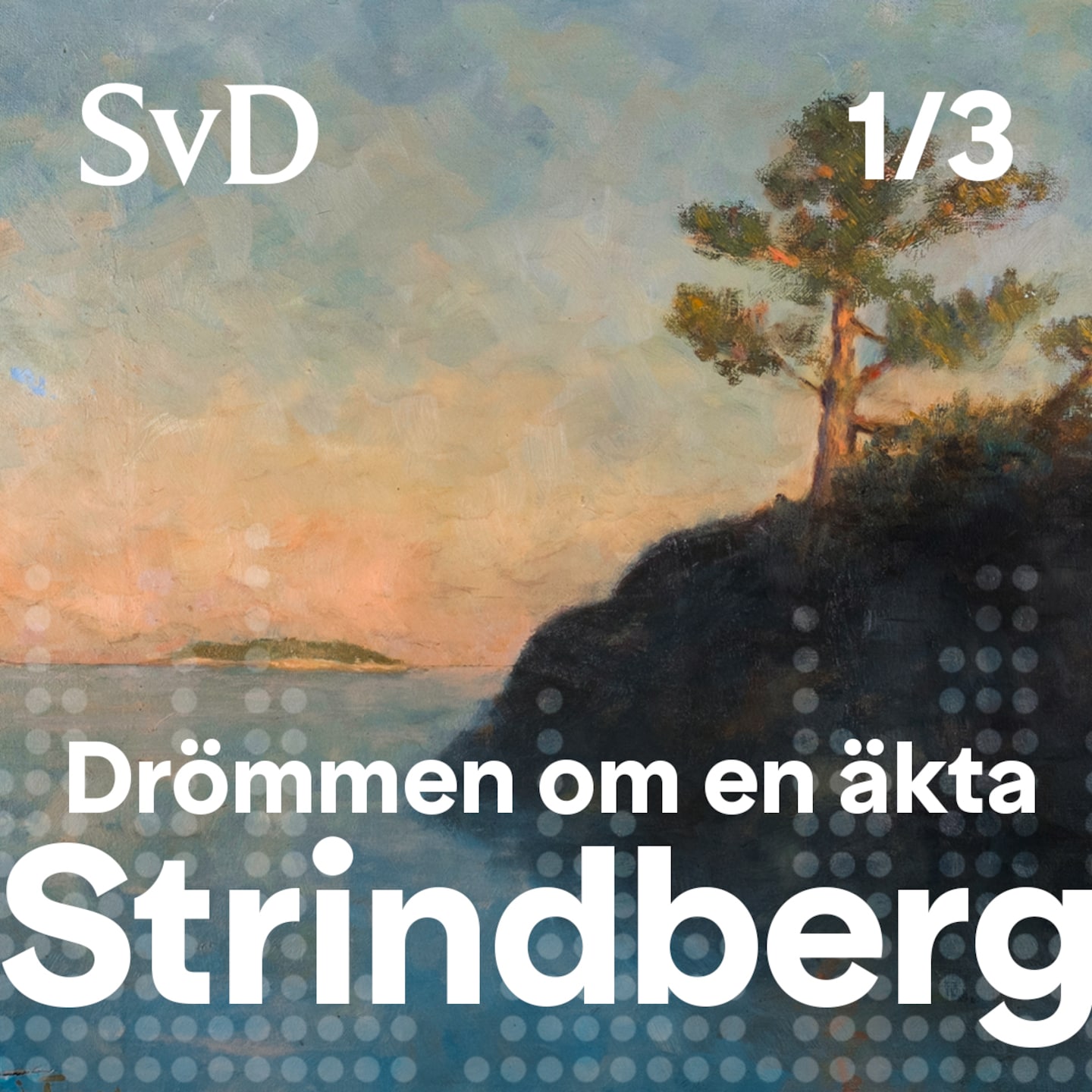 SvD Dokumentära berättelser