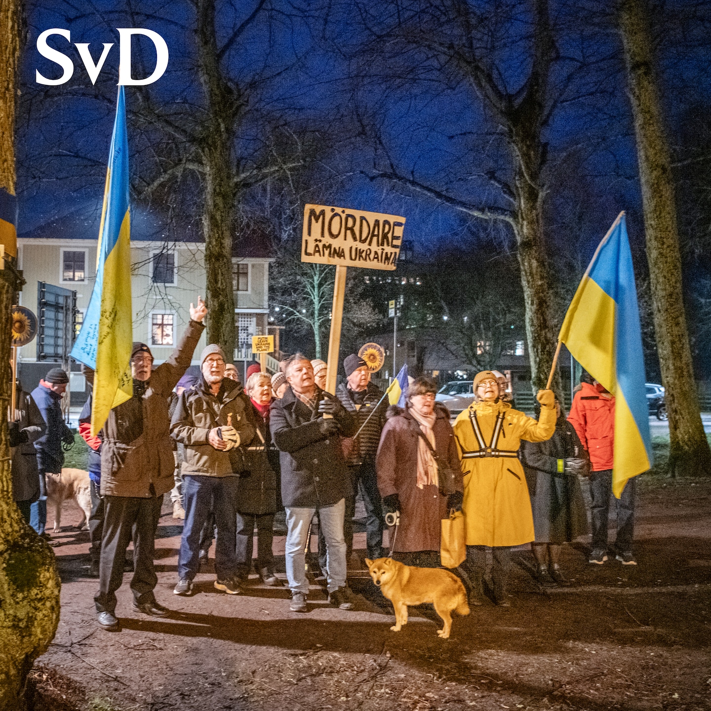 Ön där svenska trupper måste ha Putins tillstånd episode artwork